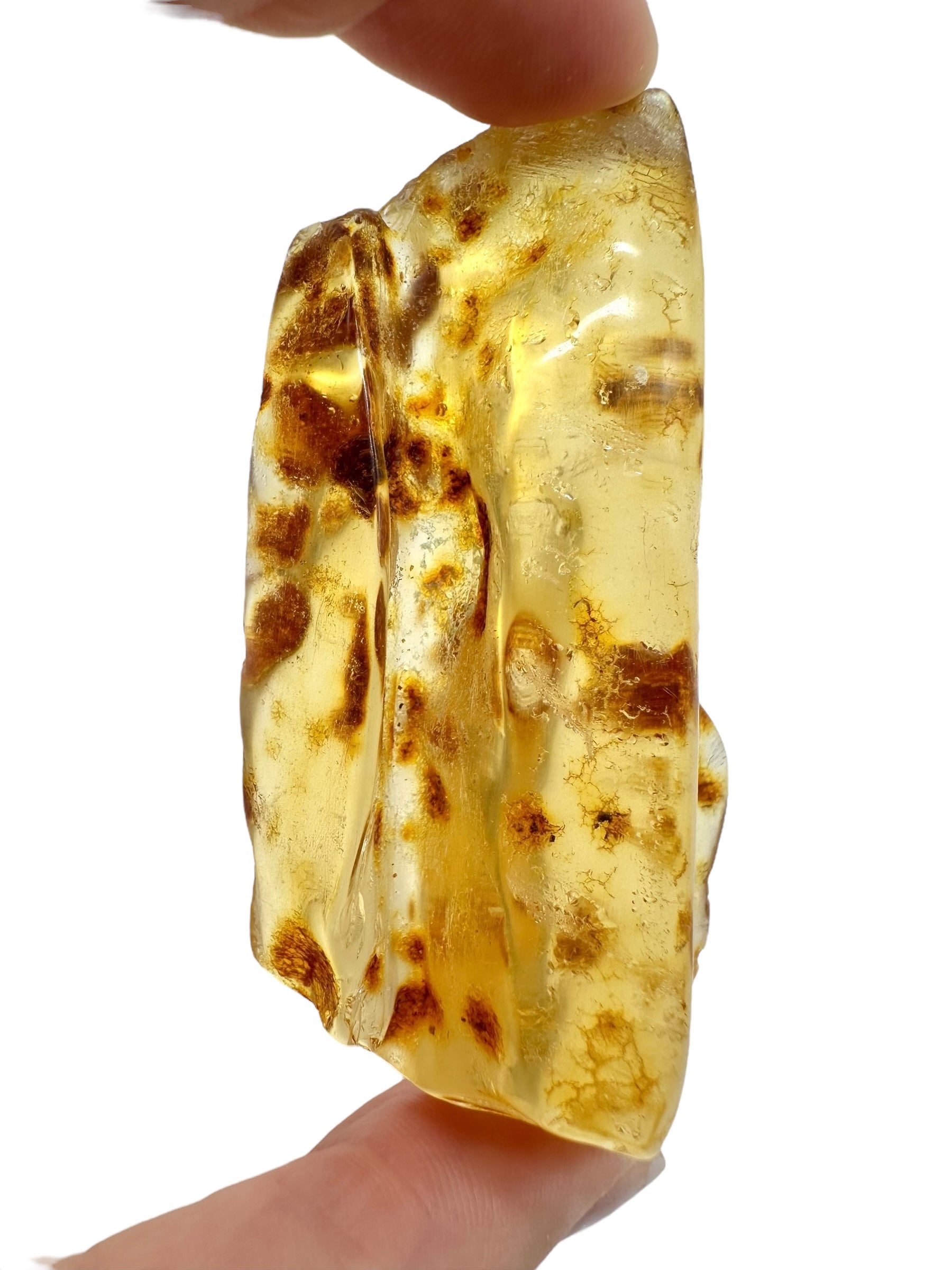 Insects in young amber (copal) 27,5g – Colombia - IK35