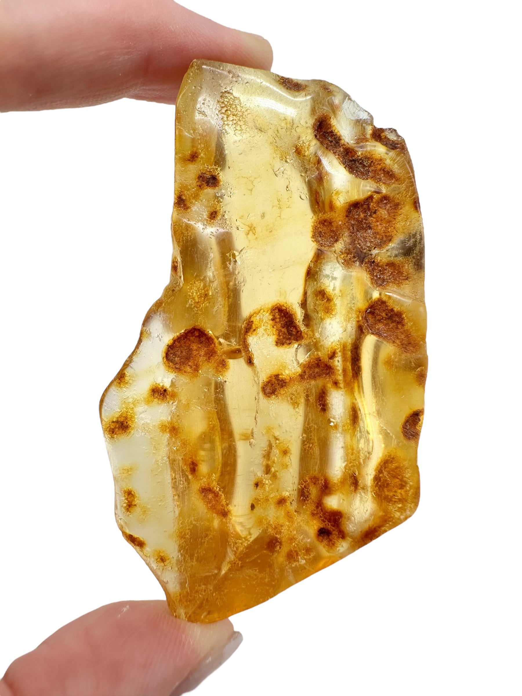 Insects in young amber (copal) 27,5g – Colombia - IK35