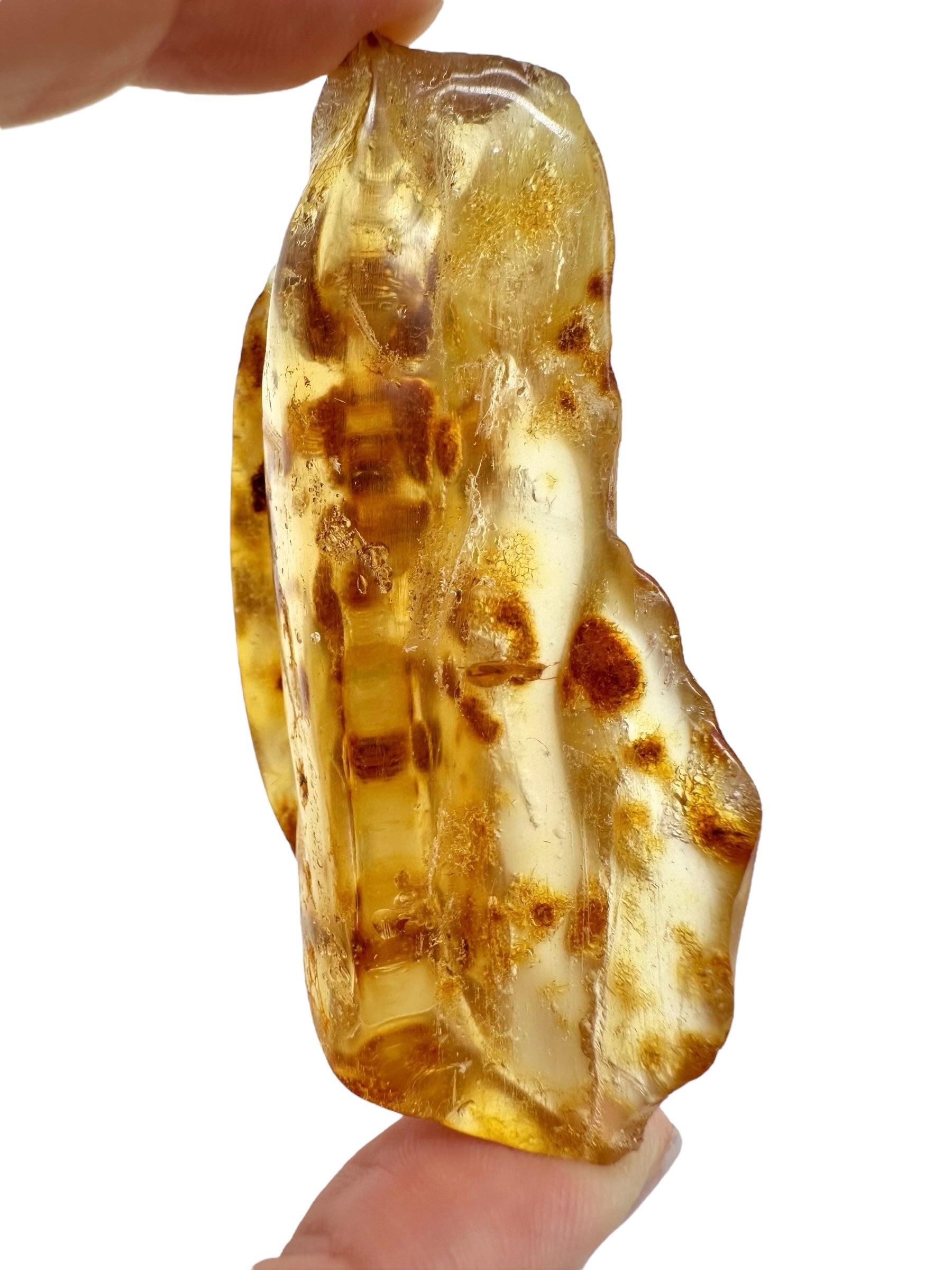 Insects in young amber (copal) 27,5g – Colombia