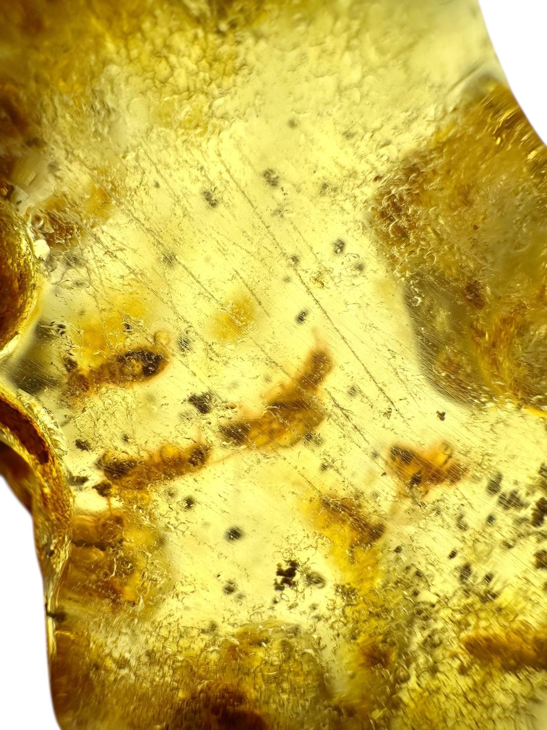 Insects in young amber (copal) 100,8g – Colombia - IK36