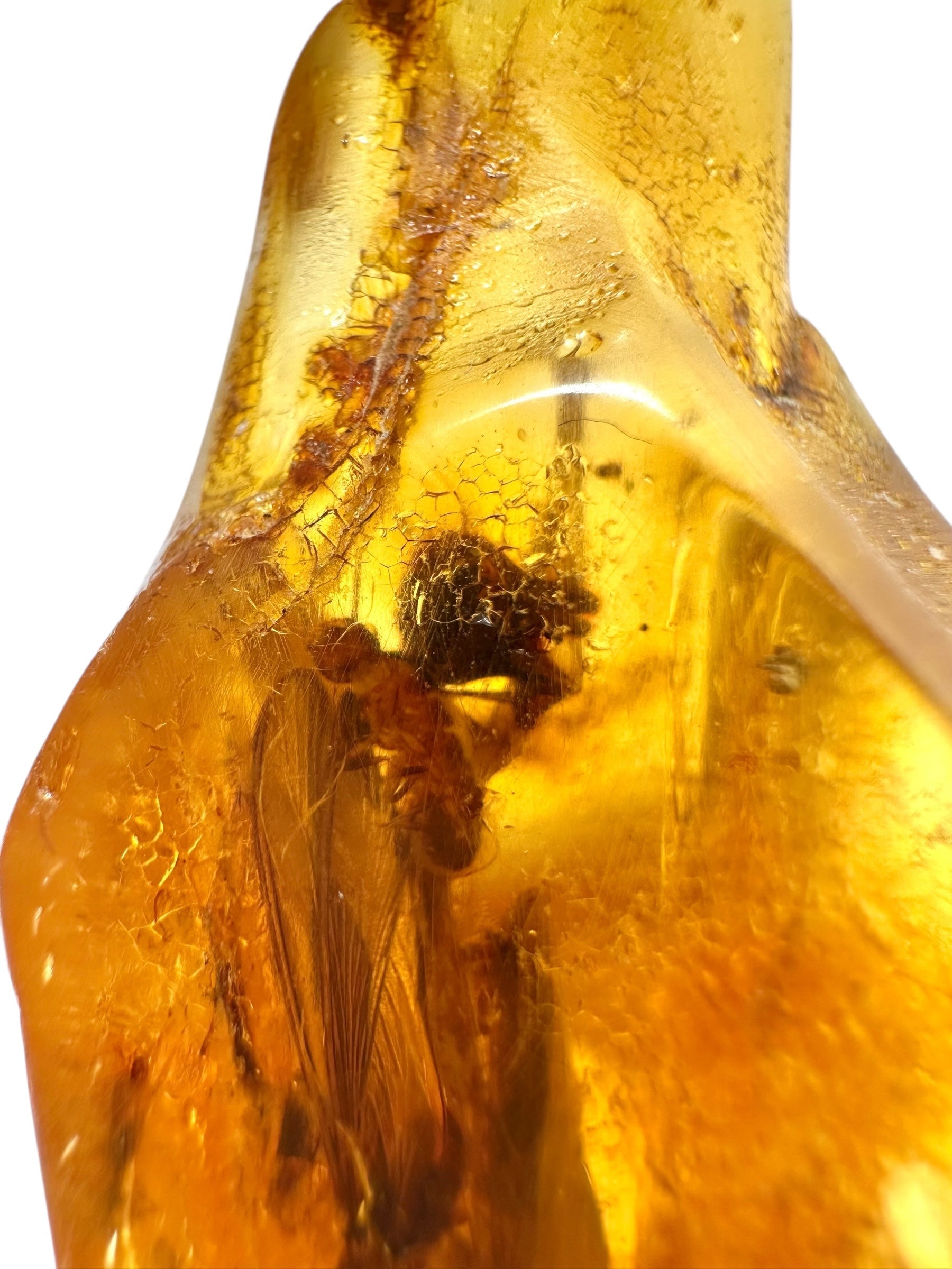 Insects in young amber (copal) 19,8g – Colombia - IK37