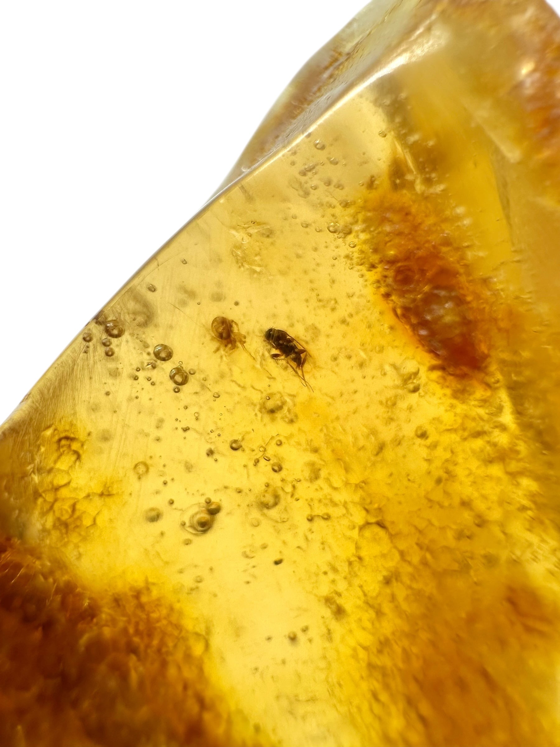 Insects in young amber (copal) 19,8g – Colombia - IK37
