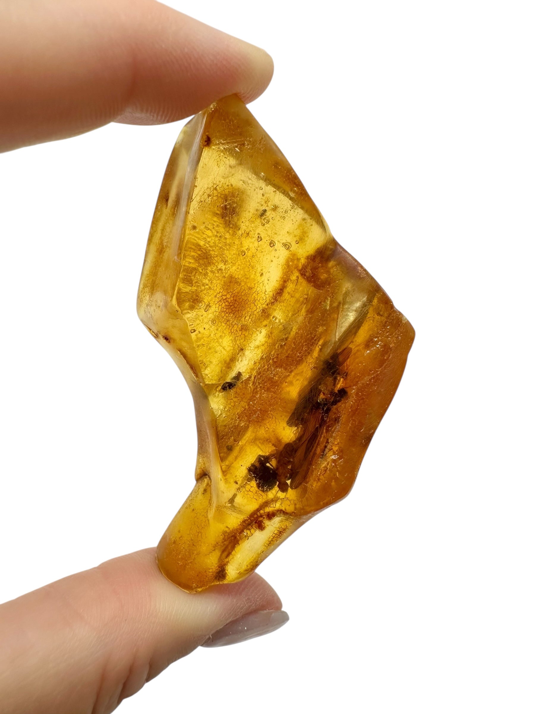 Insects in young amber (copal) 19,8g – Colombia