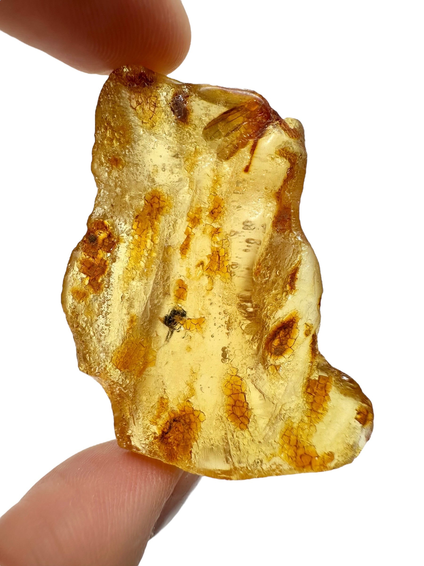Insects in young amber (copal) 7,2g – Colombia - IK38