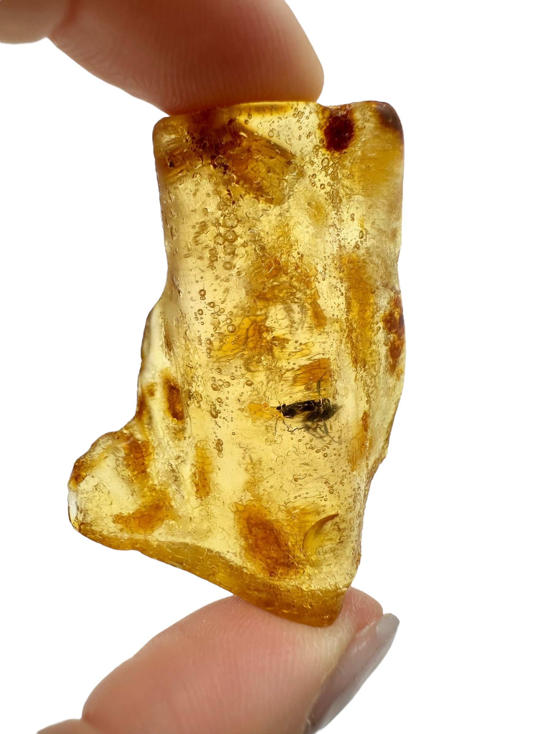 Insects in young amber (copal) 7,2g – Colombia