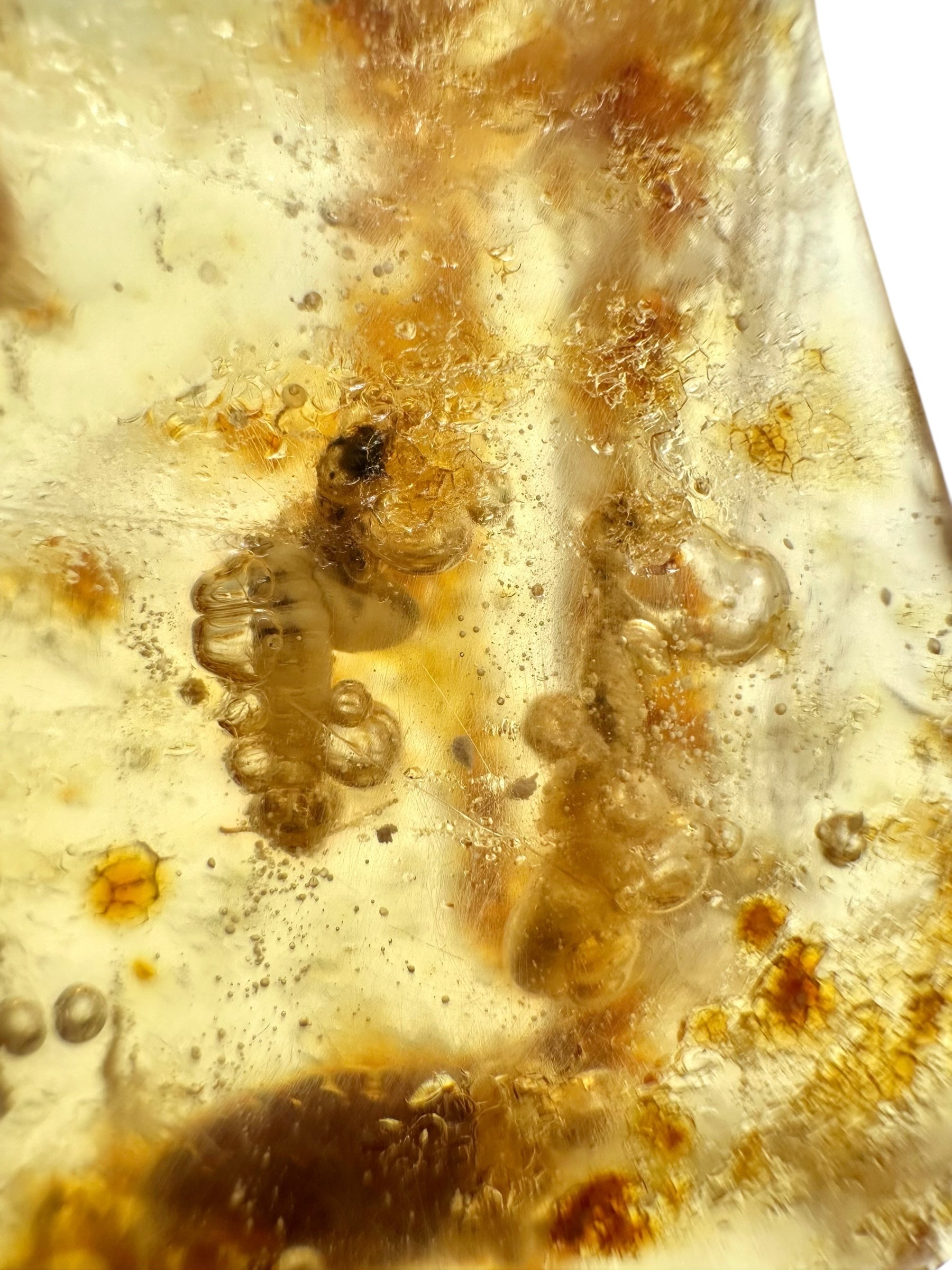 Insects in young amber (copal) 15,8g – Colombia - IK39