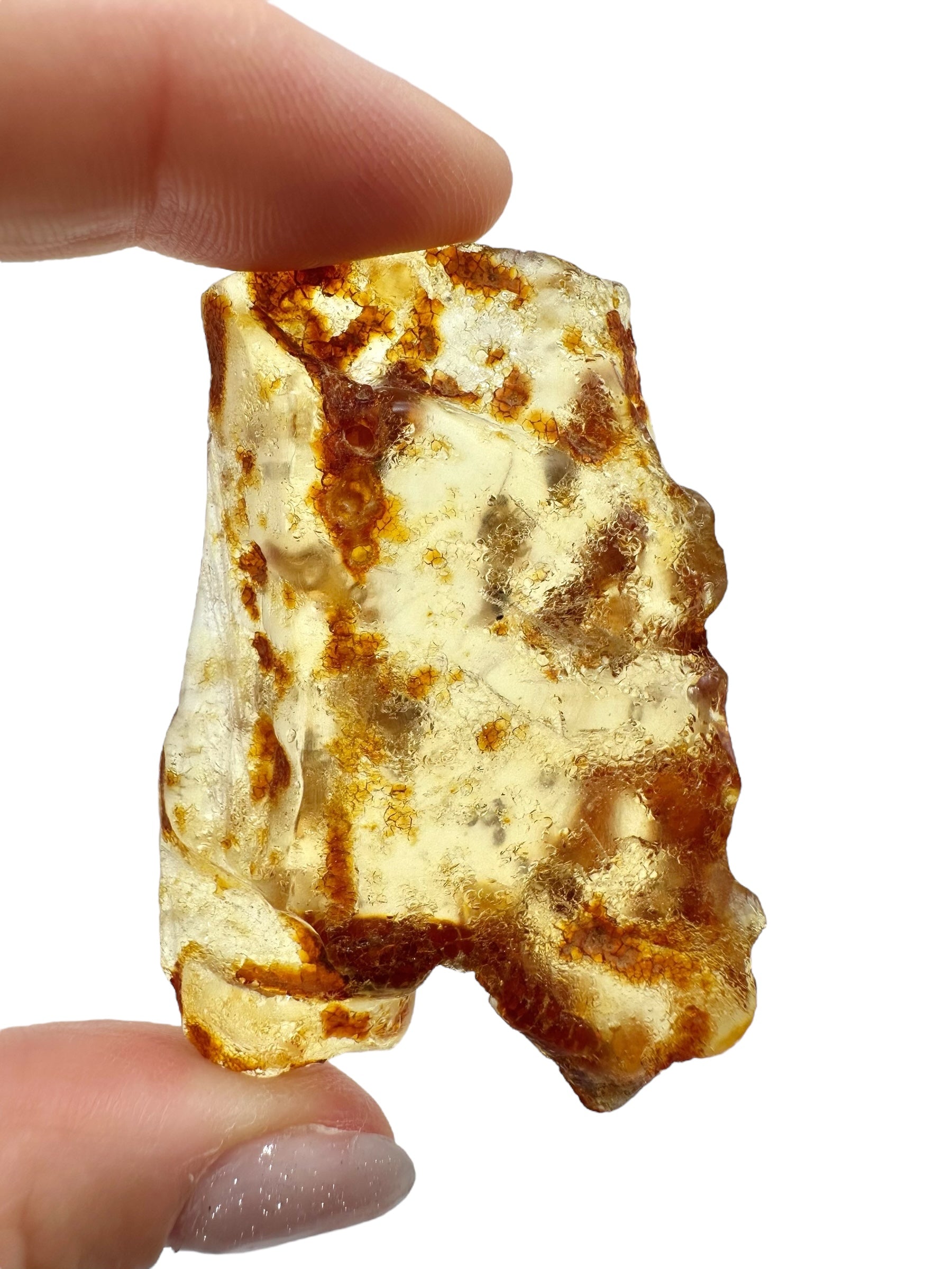 Insects in young amber (copal) 15,8g – Colombia - IK39