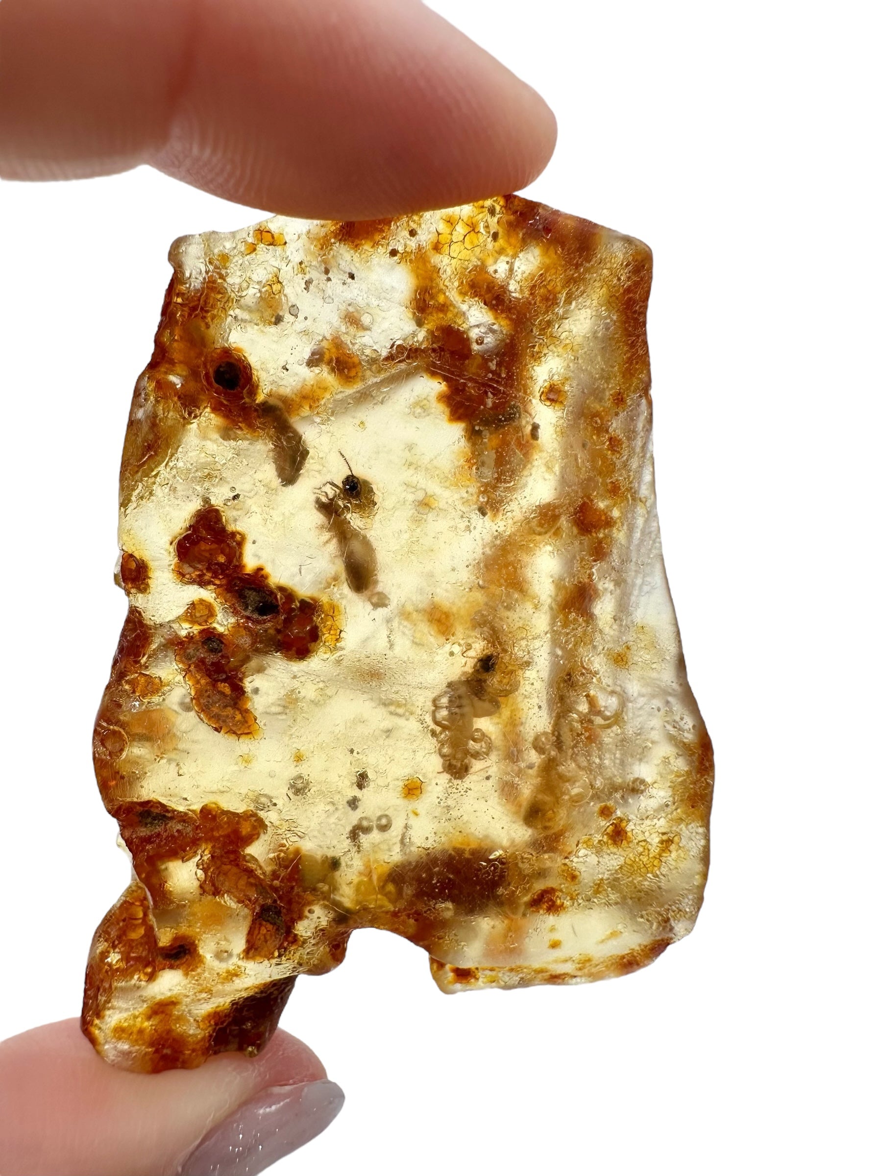 Insects in young amber (copal) 15,8g – Colombia