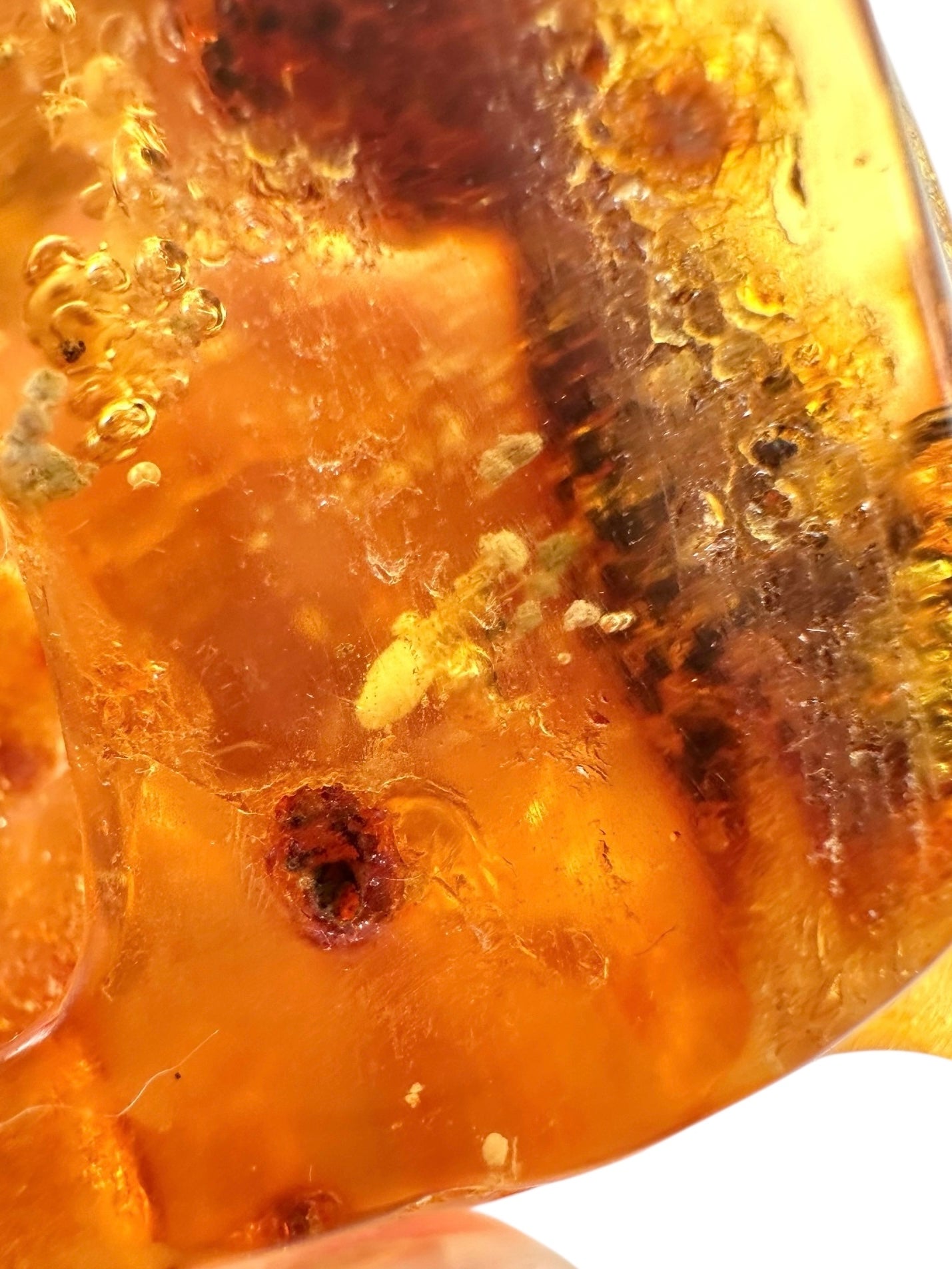 Insects in young amber (copal) 60g – Colombia - IK40