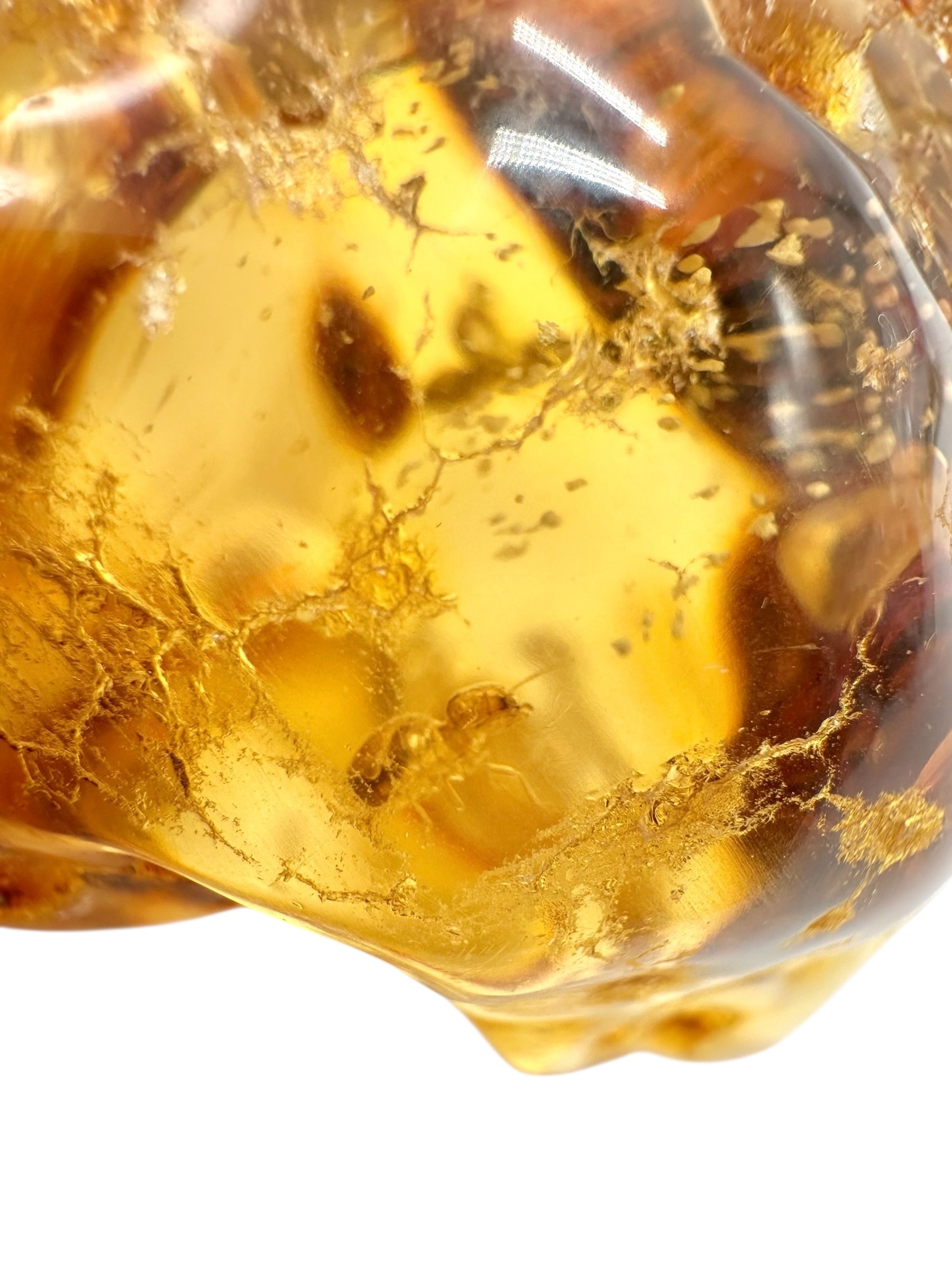 Insects in young amber (copal) 60g – Colombia - IK40
