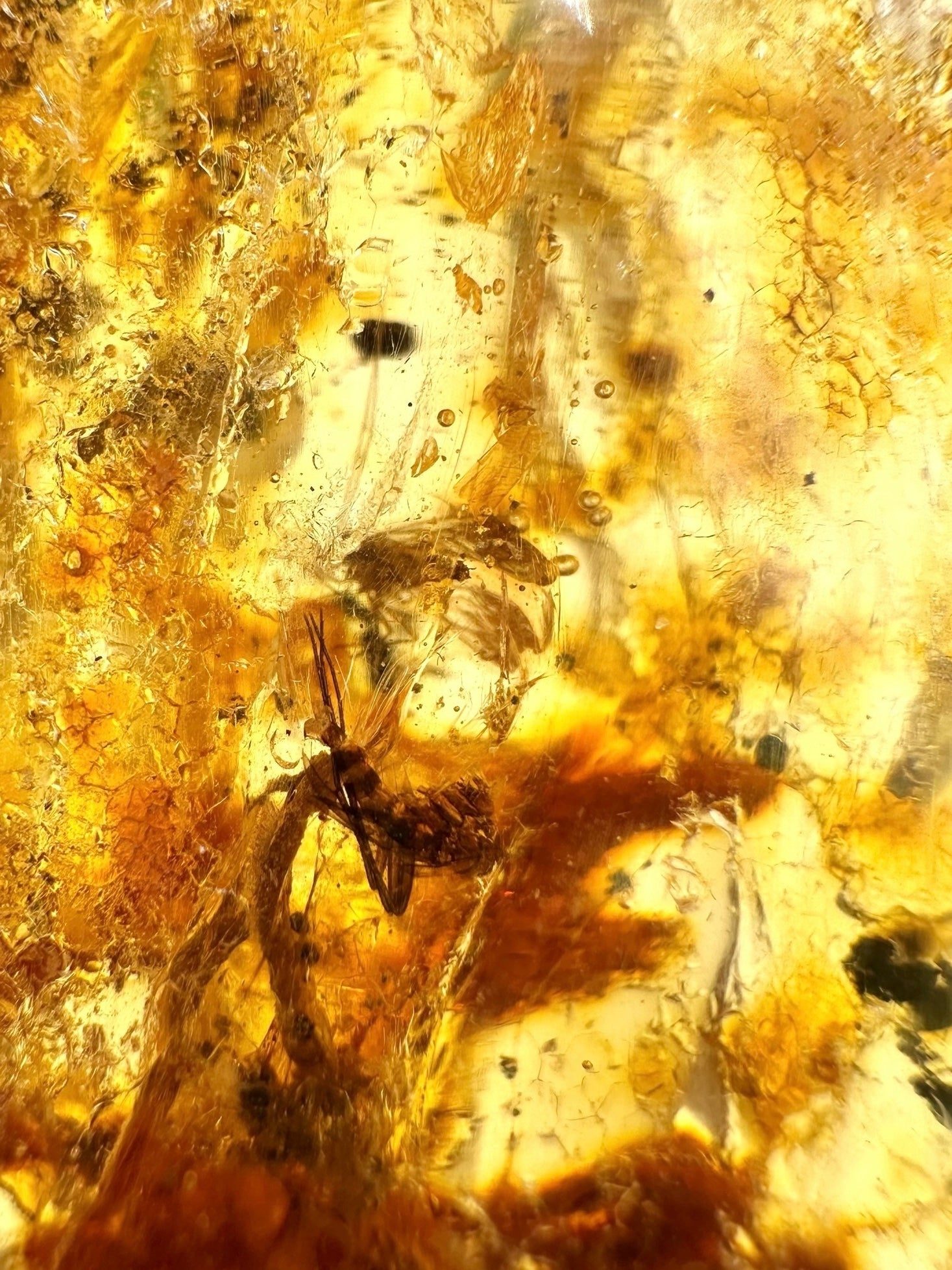 Insects in young amber (copal) 17,5g – Colombia - IK41