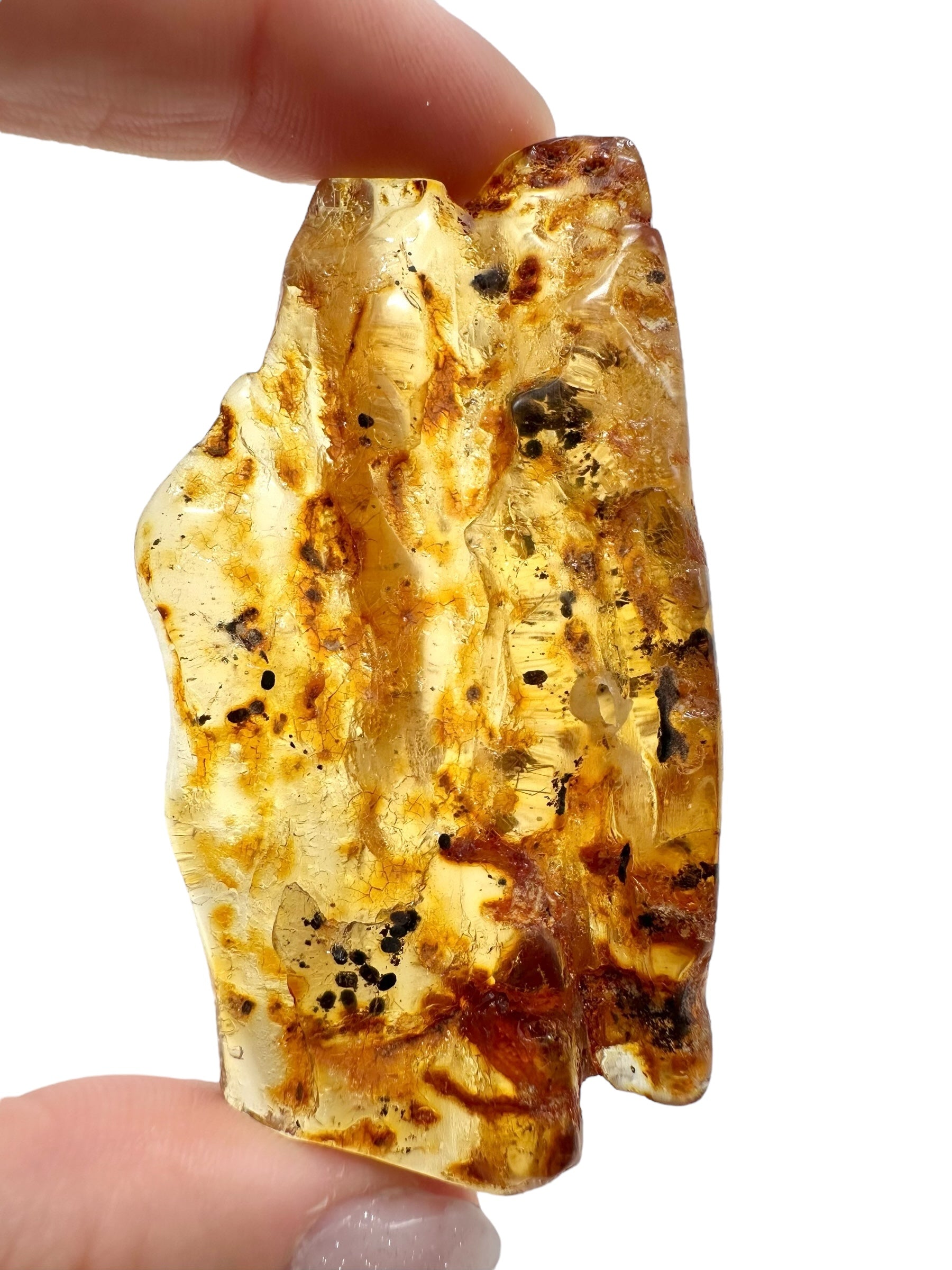 Insects in young amber (copal) 17,5g – Colombia - IK41