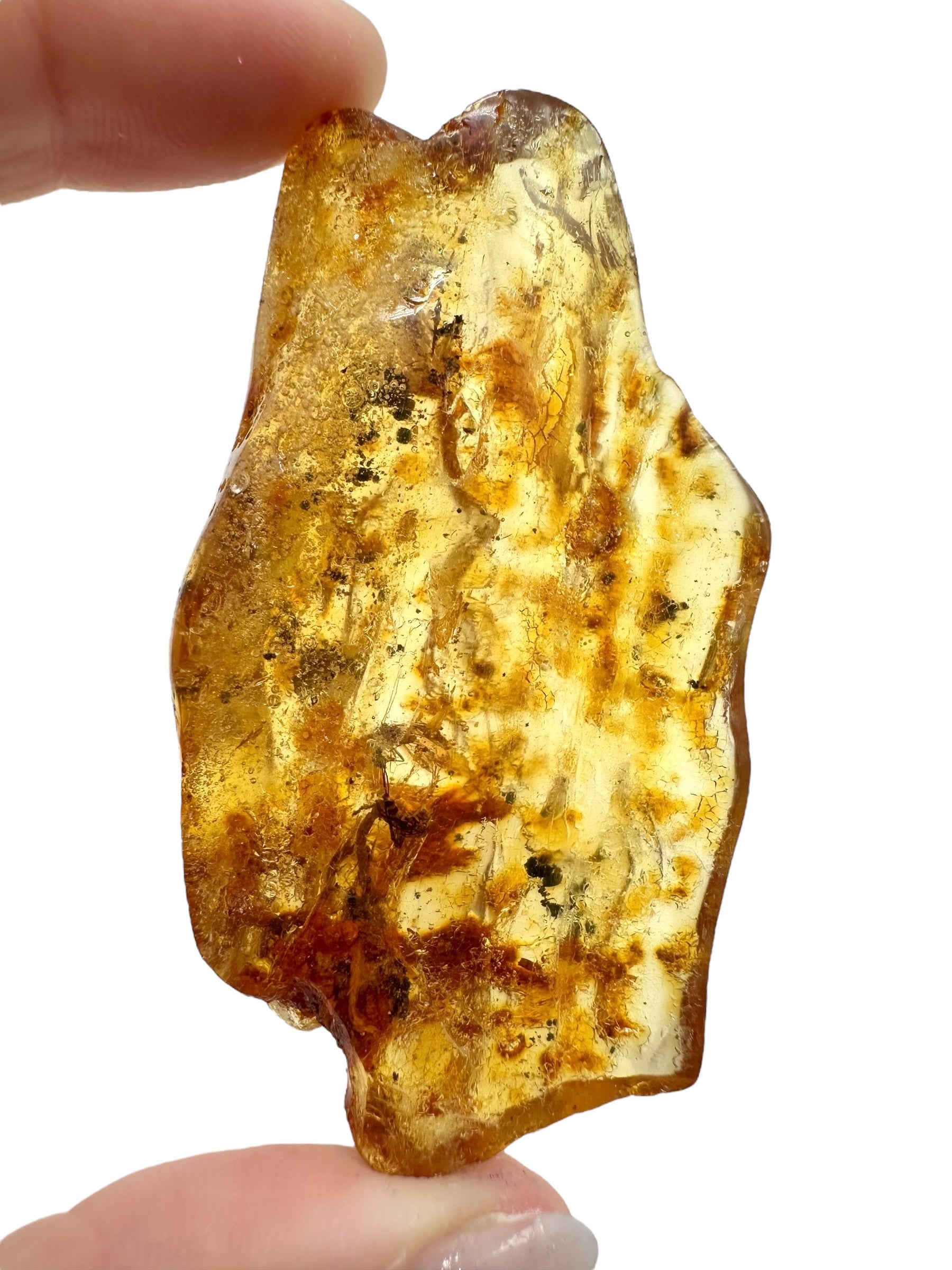 Insects in young amber (copal) 17,5g – Colombia