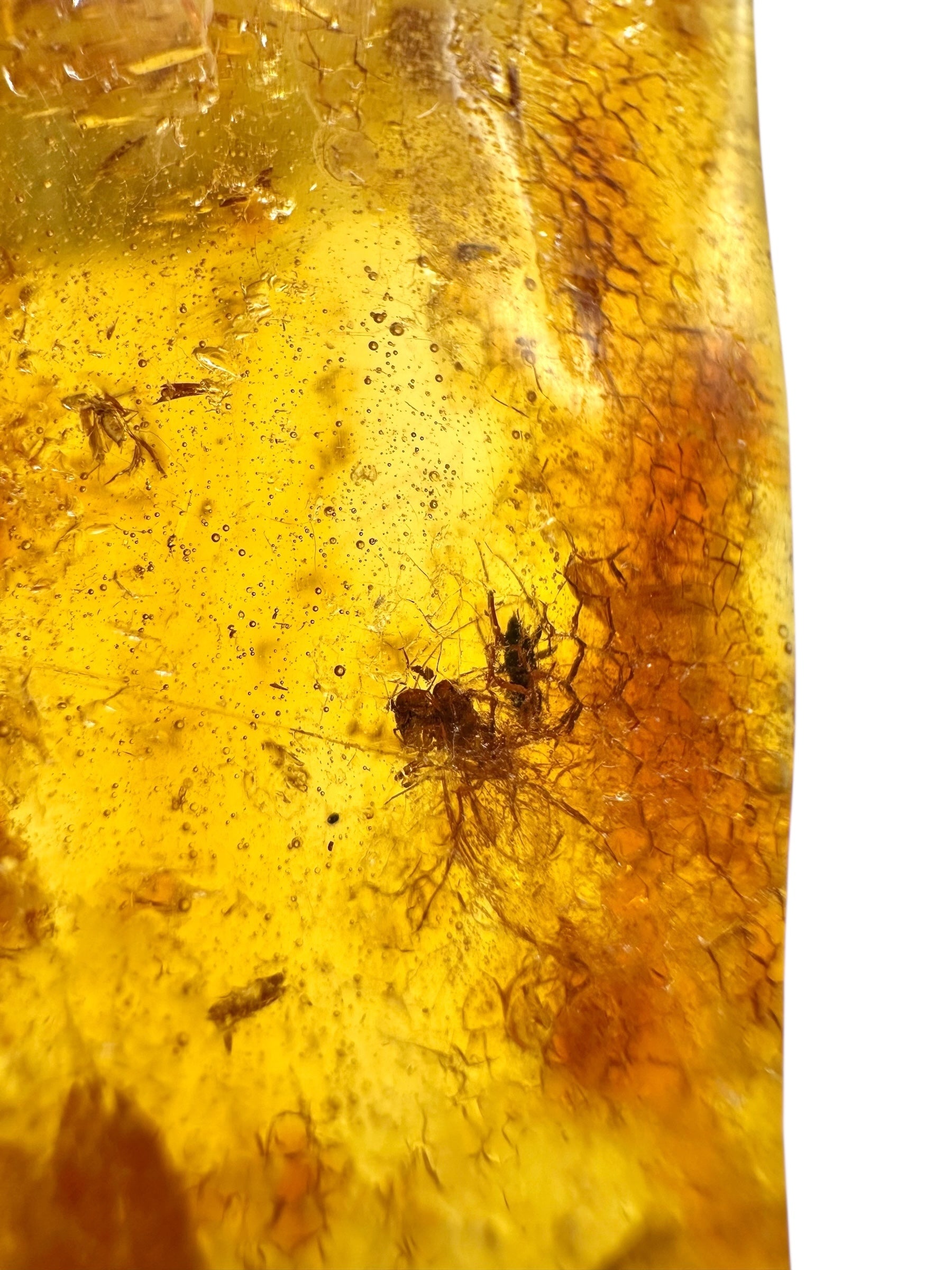 Insects in young amber (copal) 22,1g – Colombia - IK42
