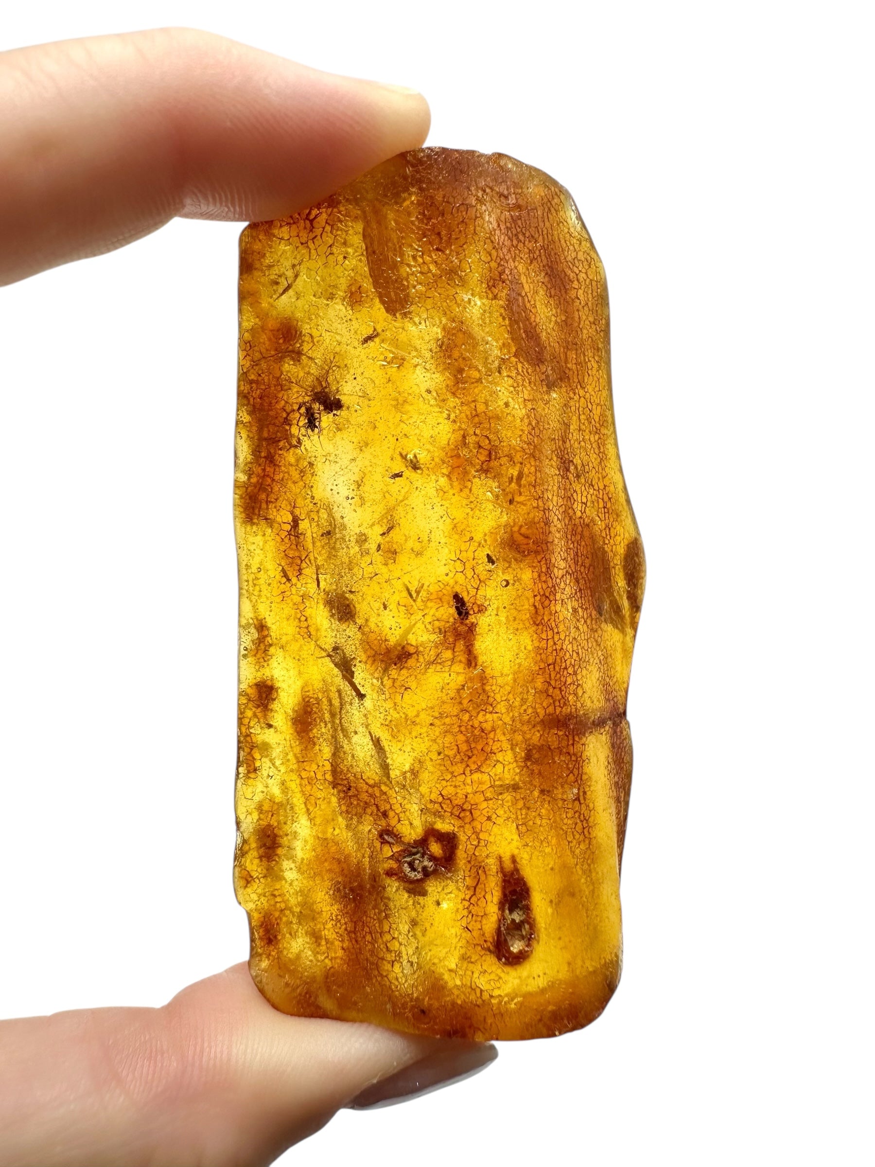 Insects in young amber (copal) 22,1g – Colombia - IK42