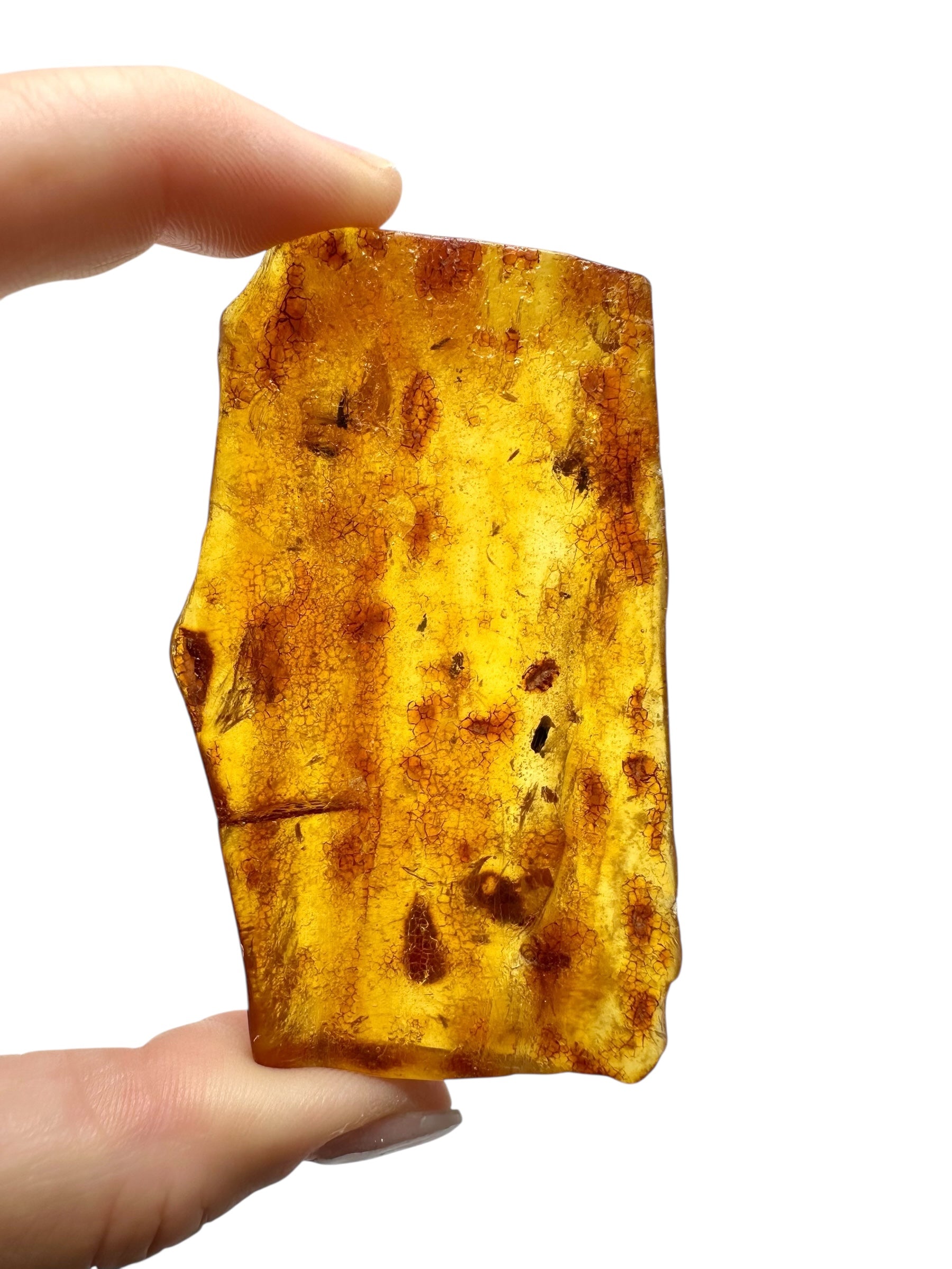 Insects in young amber (copal) 22,1g – Colombia