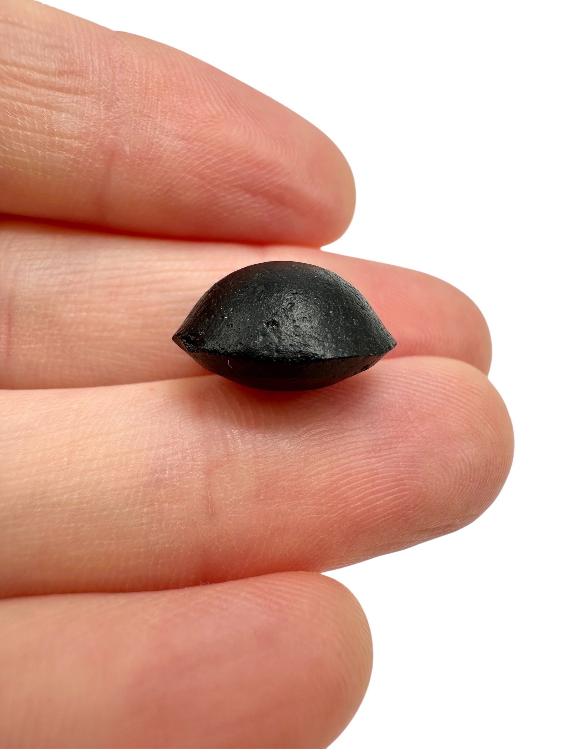 Australite "button" 1,6g – Kalgoorlie, Western Australia - AU102