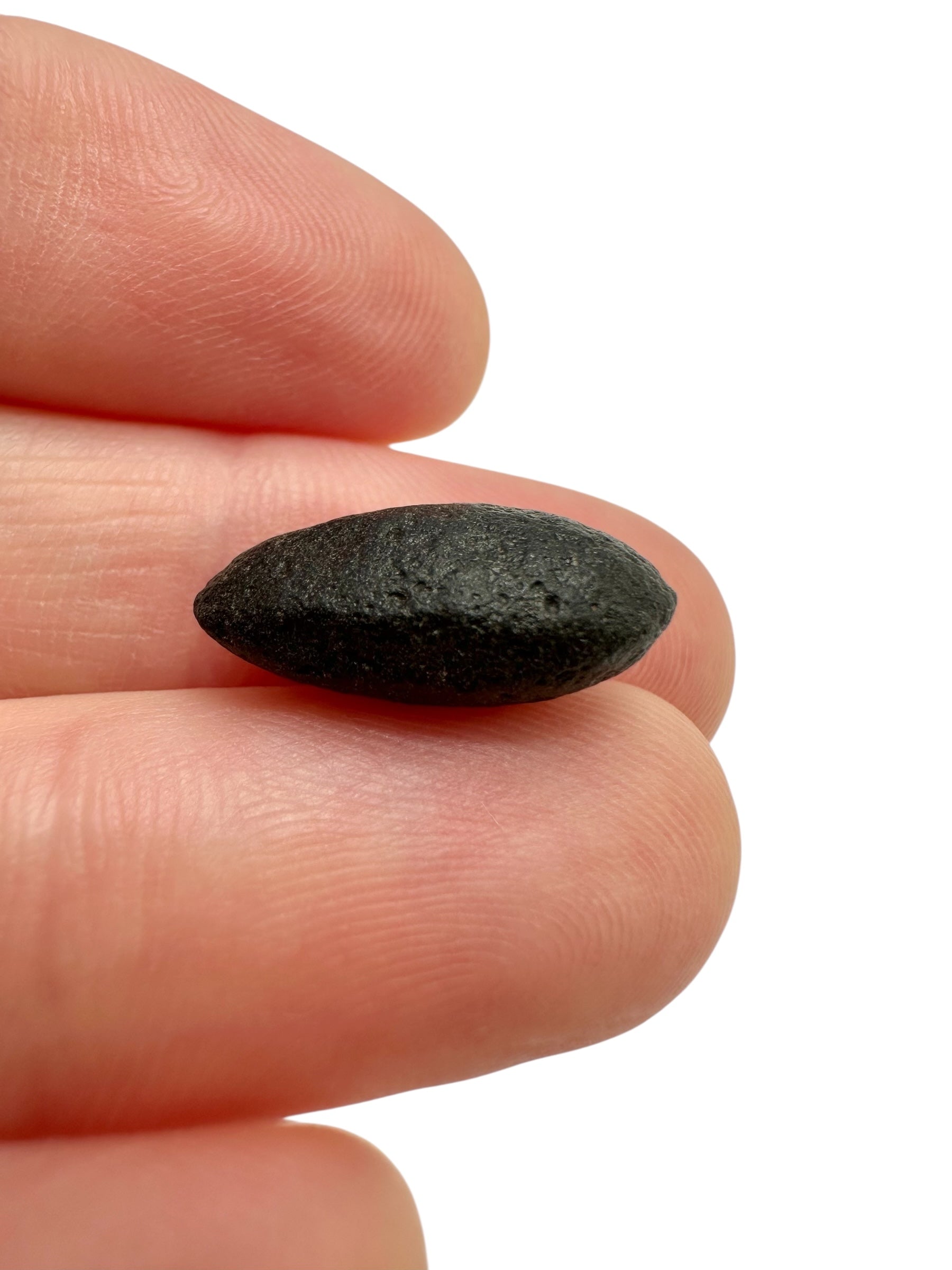 Australite "button" 1,1g – Kalgoorlie, Western Australia - AU103