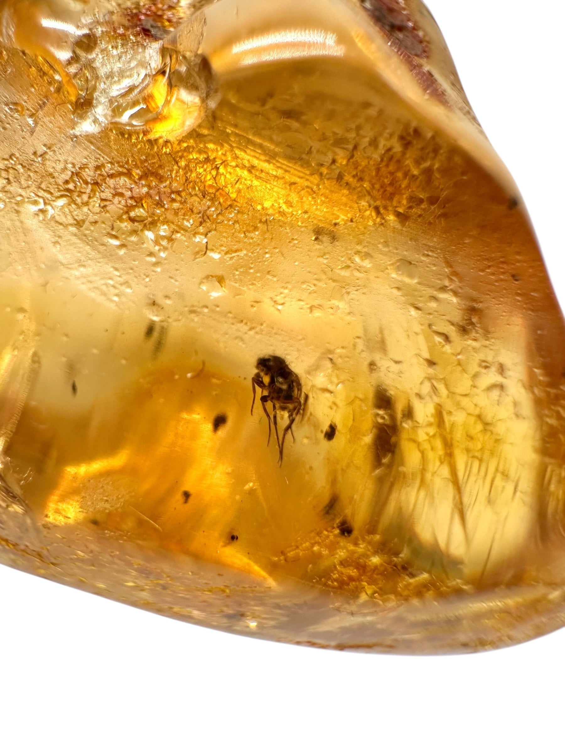 Insects in young amber (copal) 17,2g – Colombia - IK43