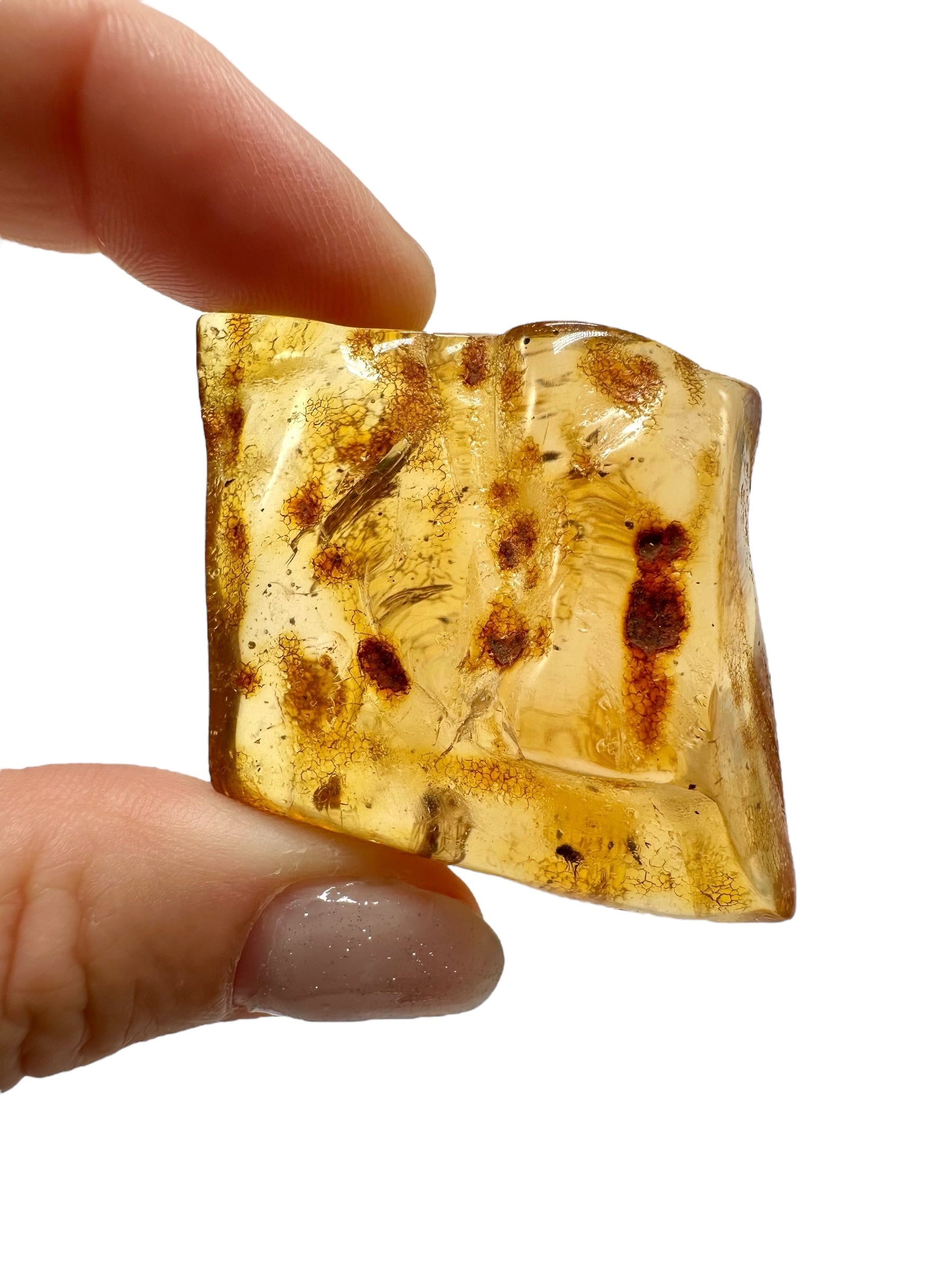 Insects in young amber (copal) 17,2g – Colombia - IK43