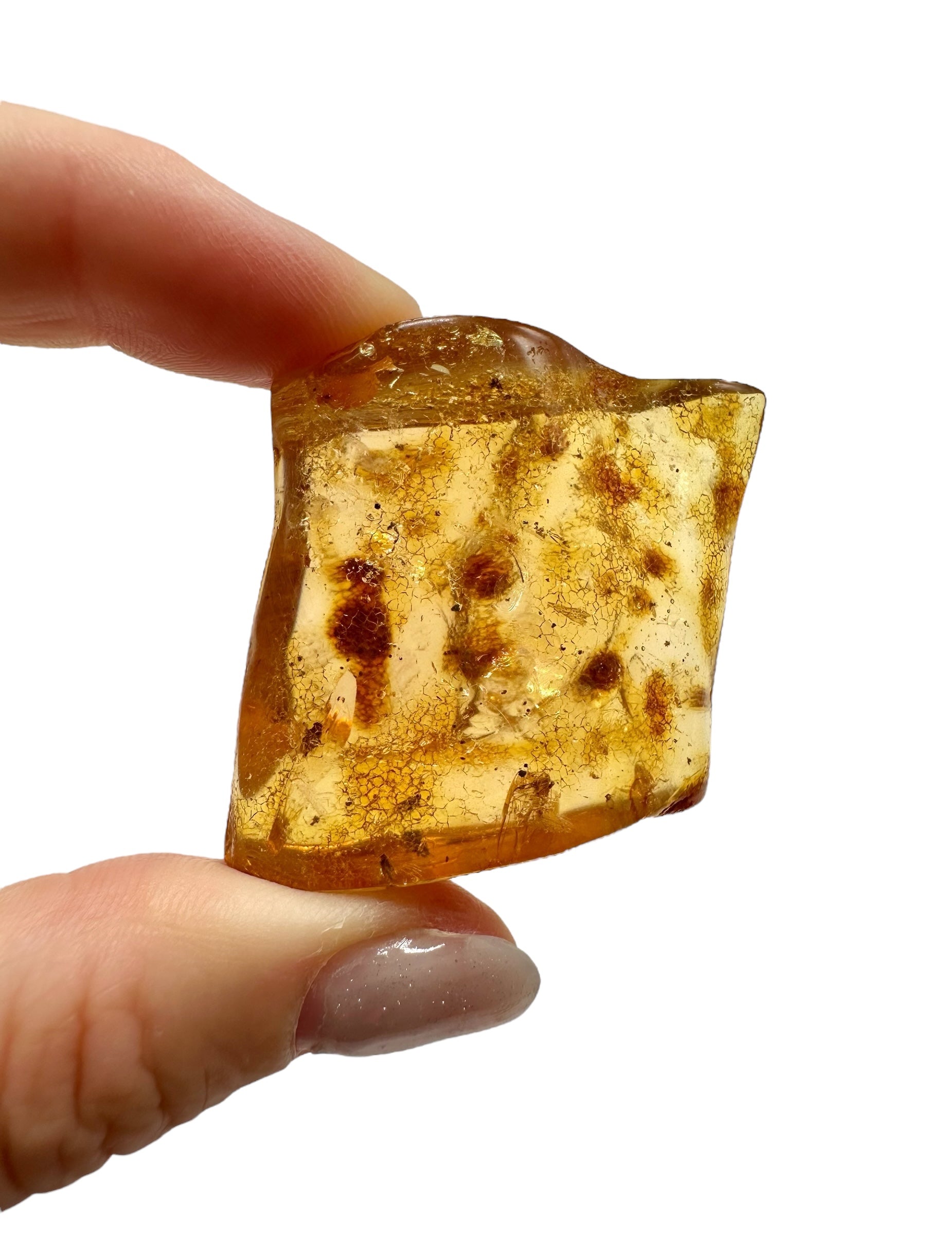 Insects in young amber (copal) 17,2g – Colombia - IK43