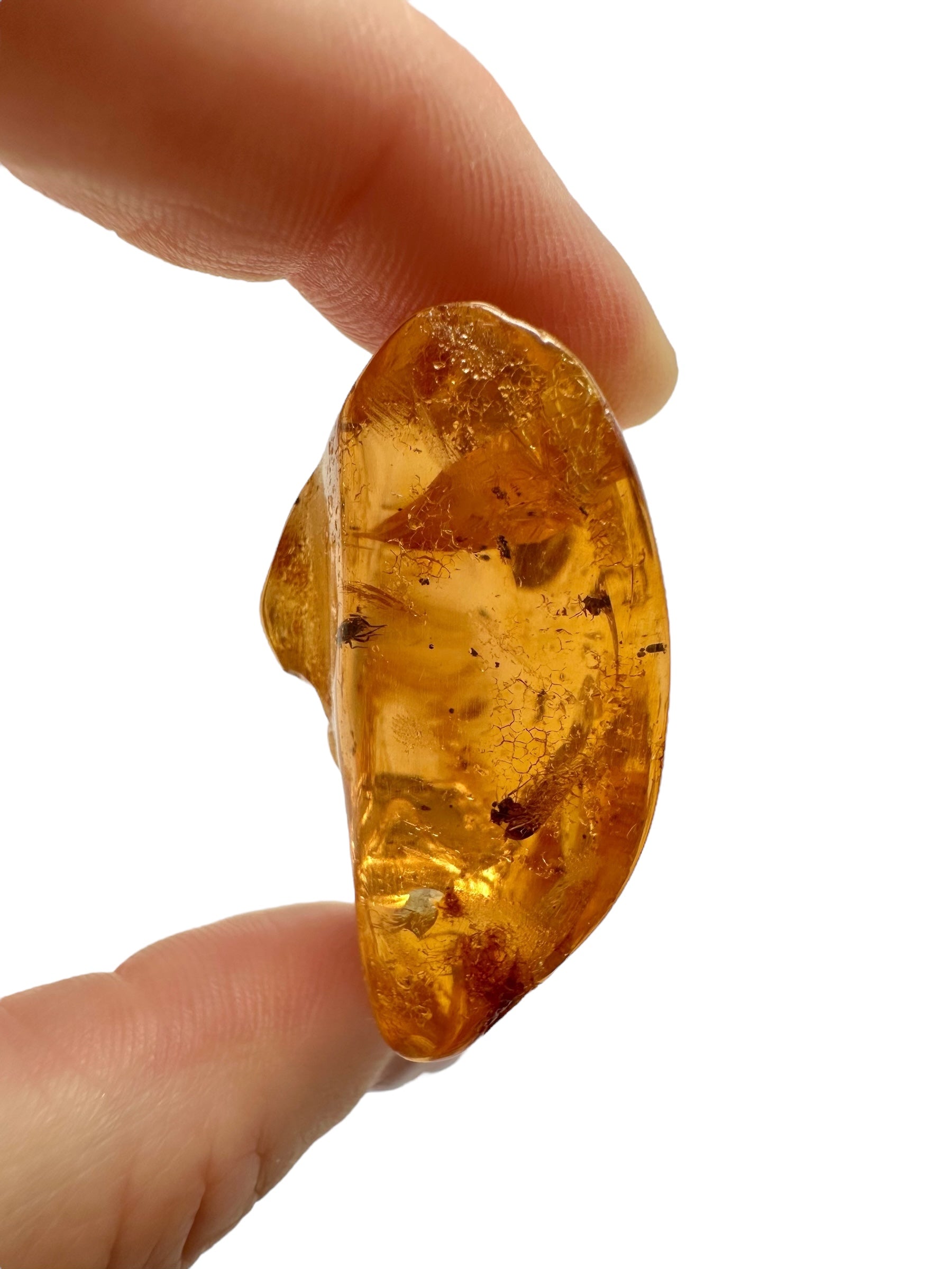 Insects in young amber (copal) 17,2g – Colombia