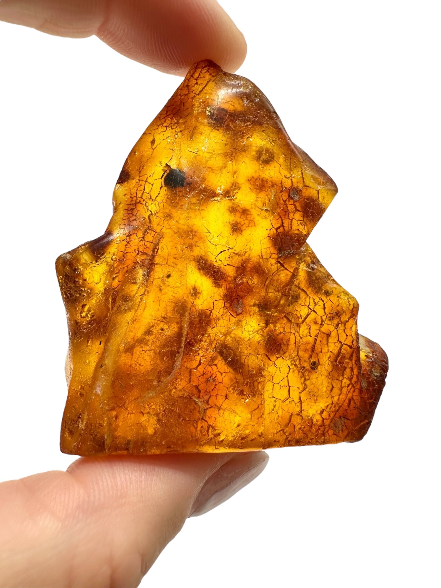 Insects in young amber (copal) 19,1g – Colombia - IK44