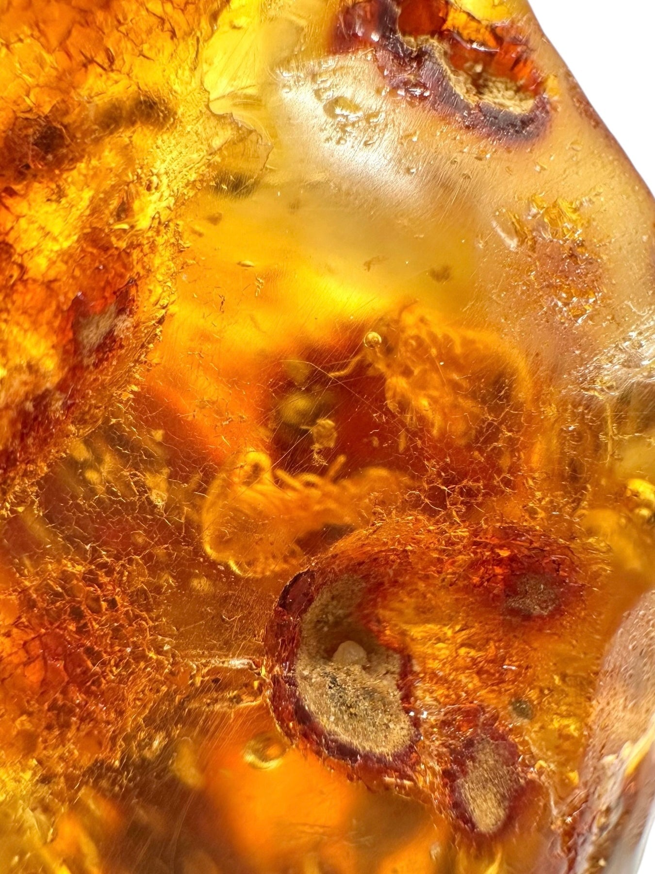 Insects in young amber (copal) 14,1g – Colombia - IK45