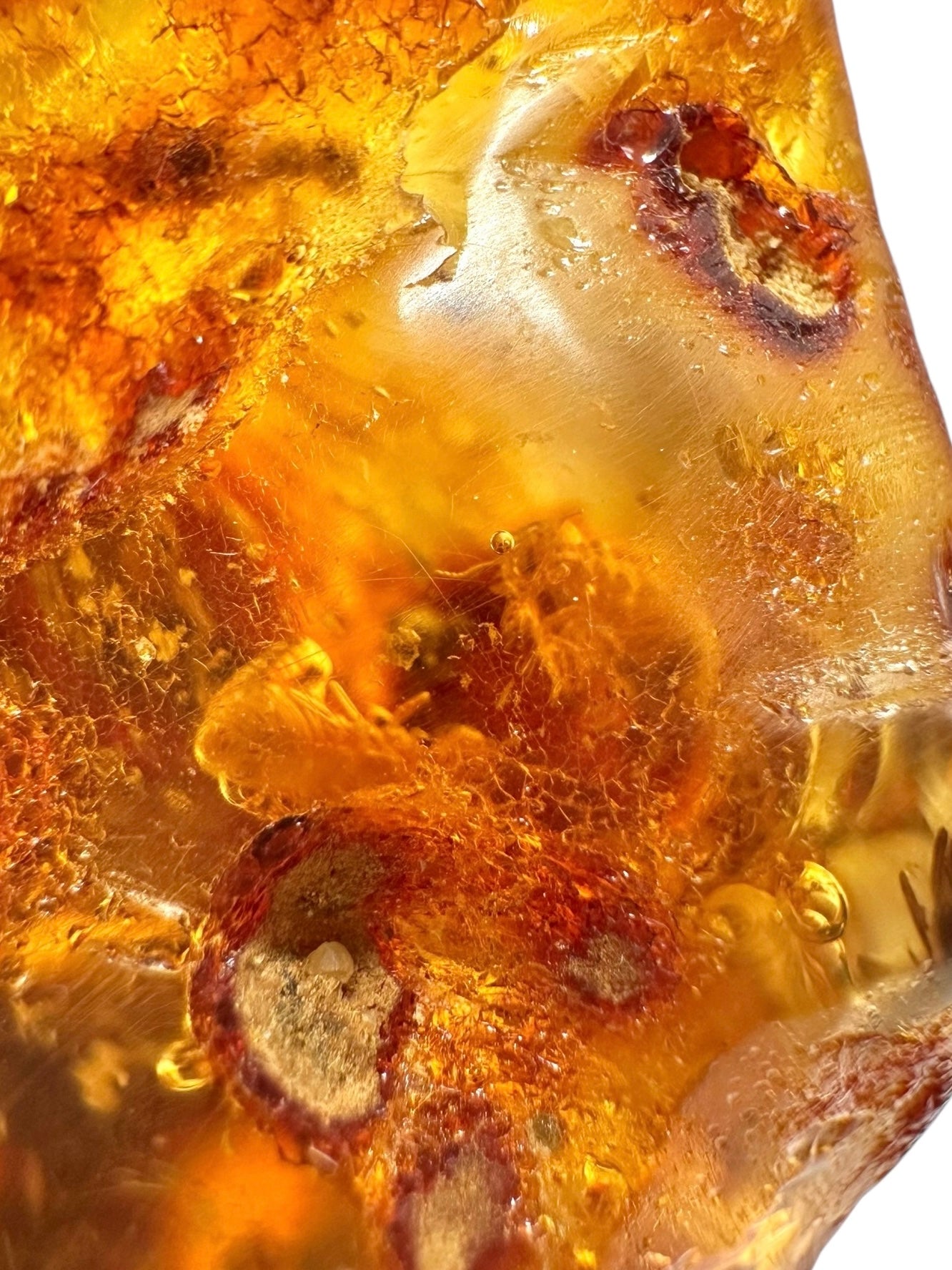 Insects in young amber (copal) 14,1g – Colombia - IK45