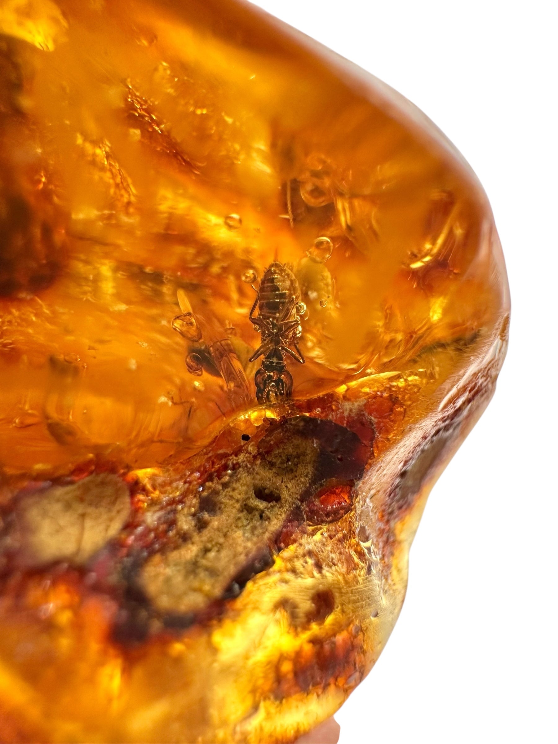 Insects in young amber (copal) 14,1g – Colombia - IK45