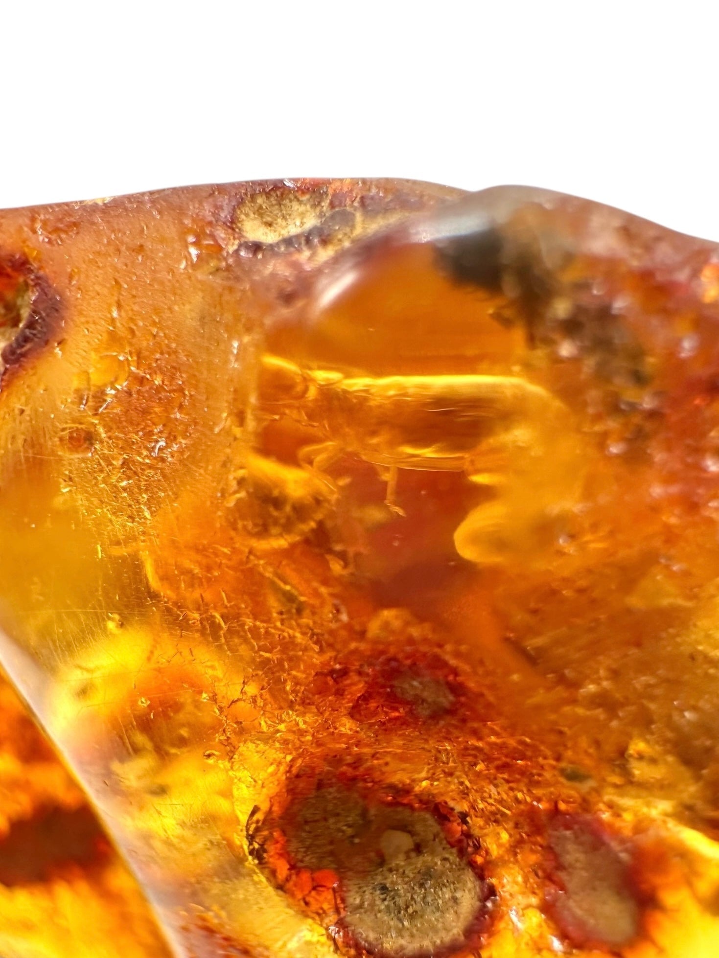 Insects in young amber (copal) 14,1g – Colombia - IK45