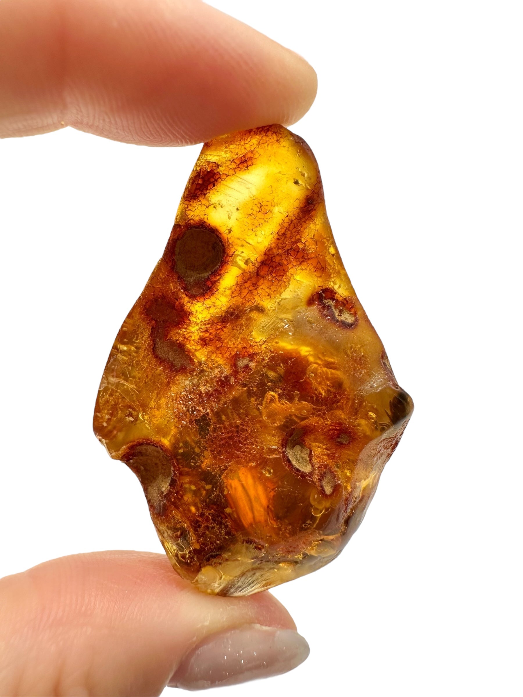 Insects in young amber (copal) 14,1g – Colombia