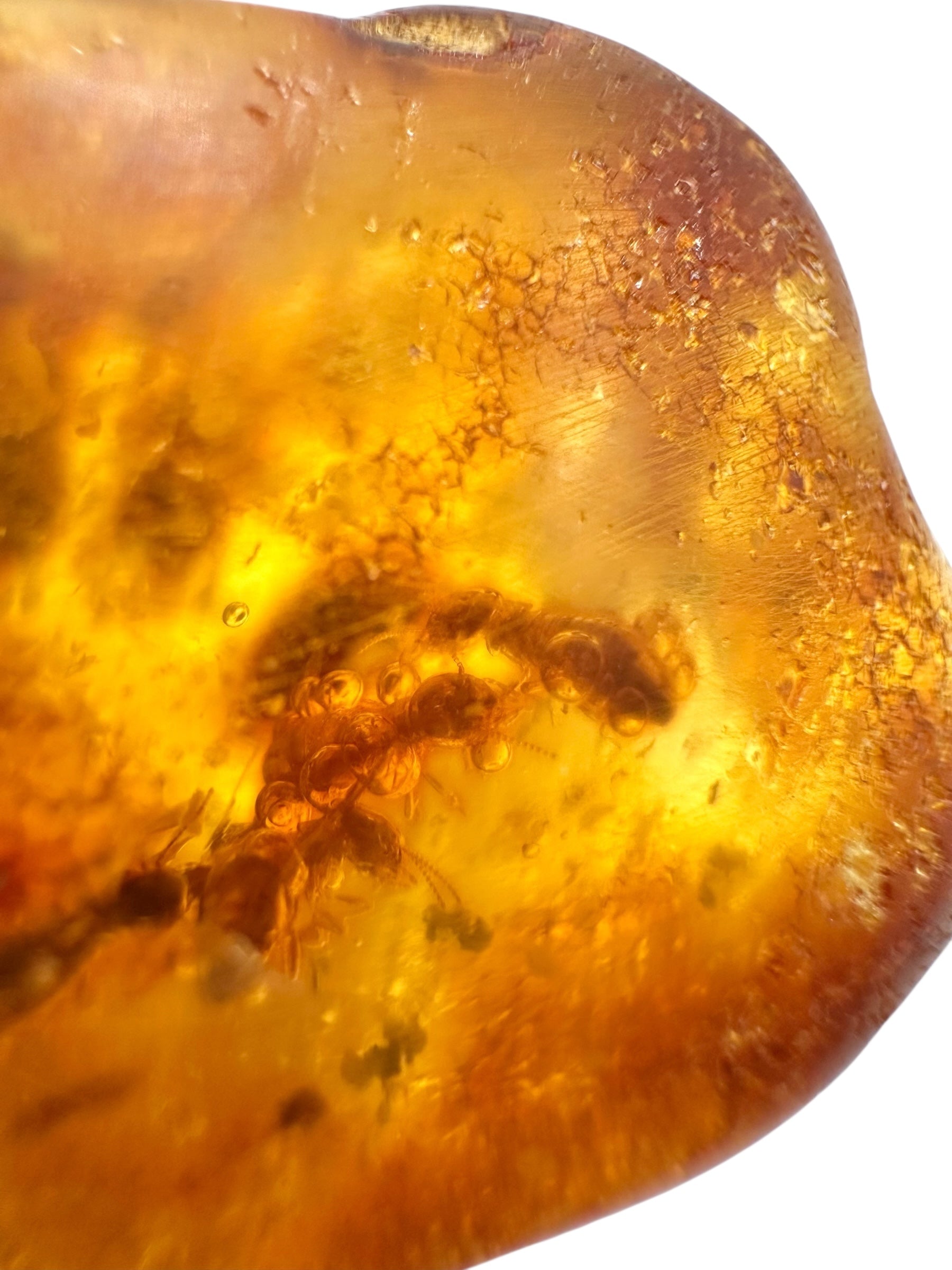 Insects in young amber (copal) 23,3g – Colombia - IK46