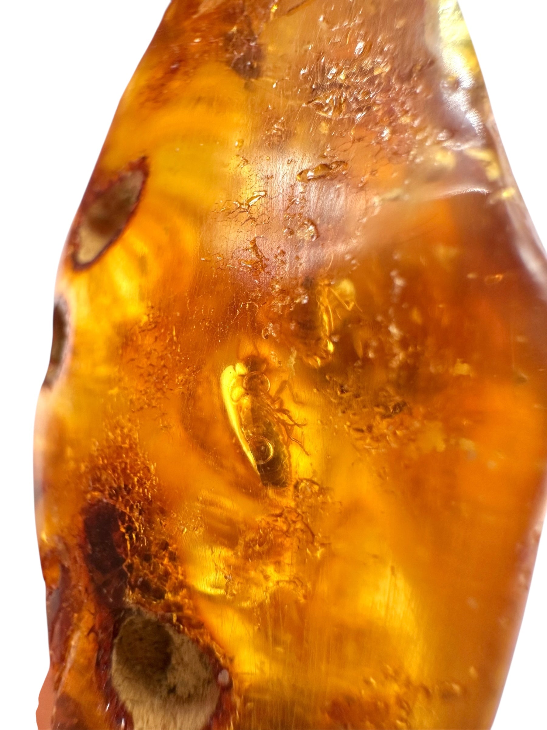 Insects in young amber (copal) 23,3g – Colombia - IK46