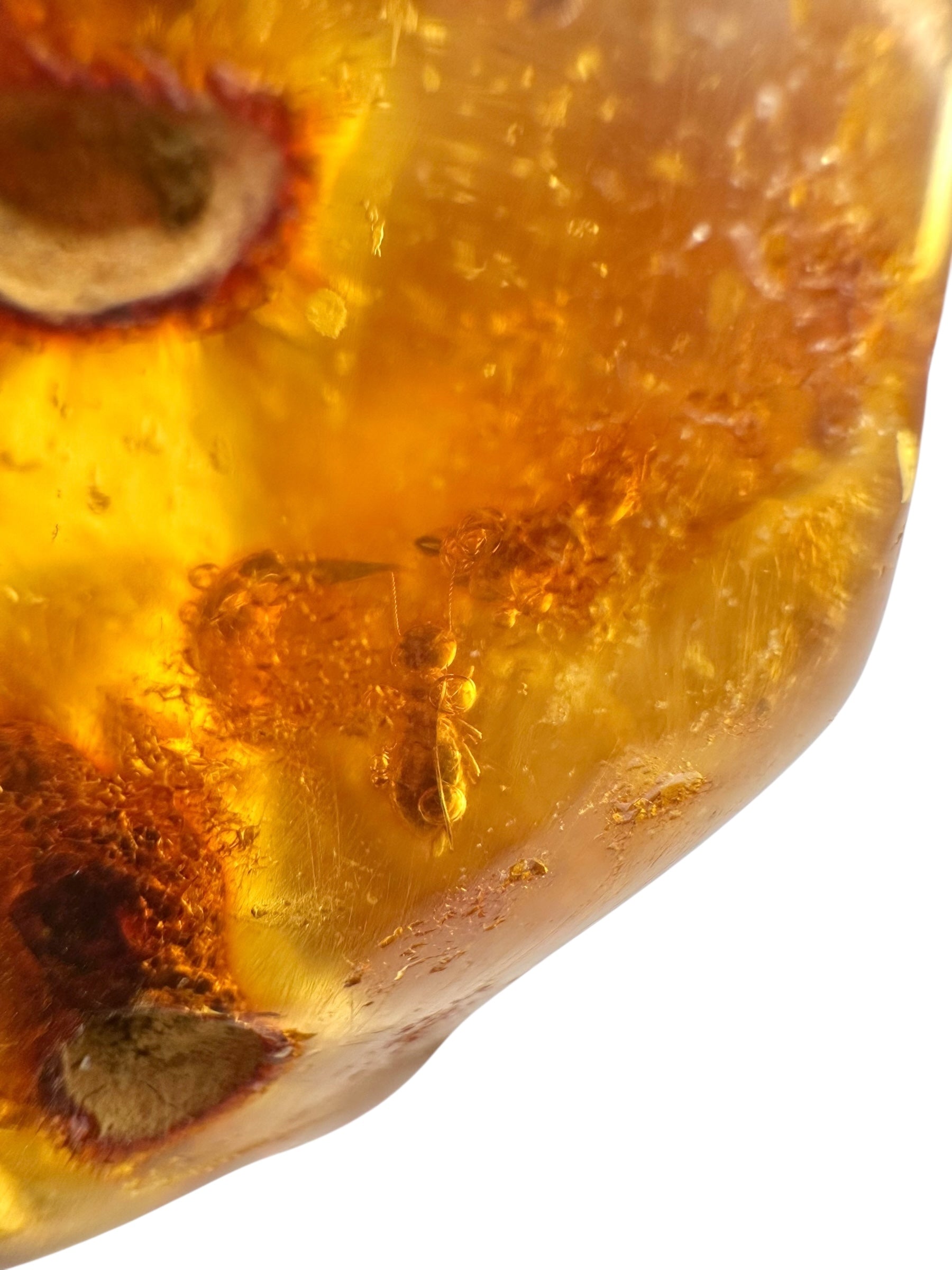 Insects in young amber (copal) 23,3g – Colombia - IK46