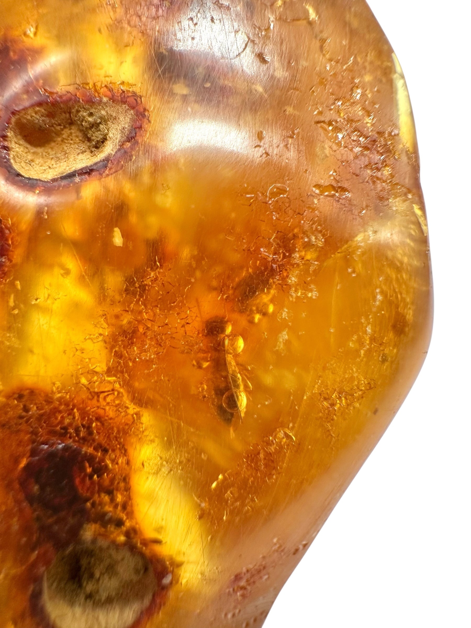 Insects in young amber (copal) 23,3g – Colombia - IK46