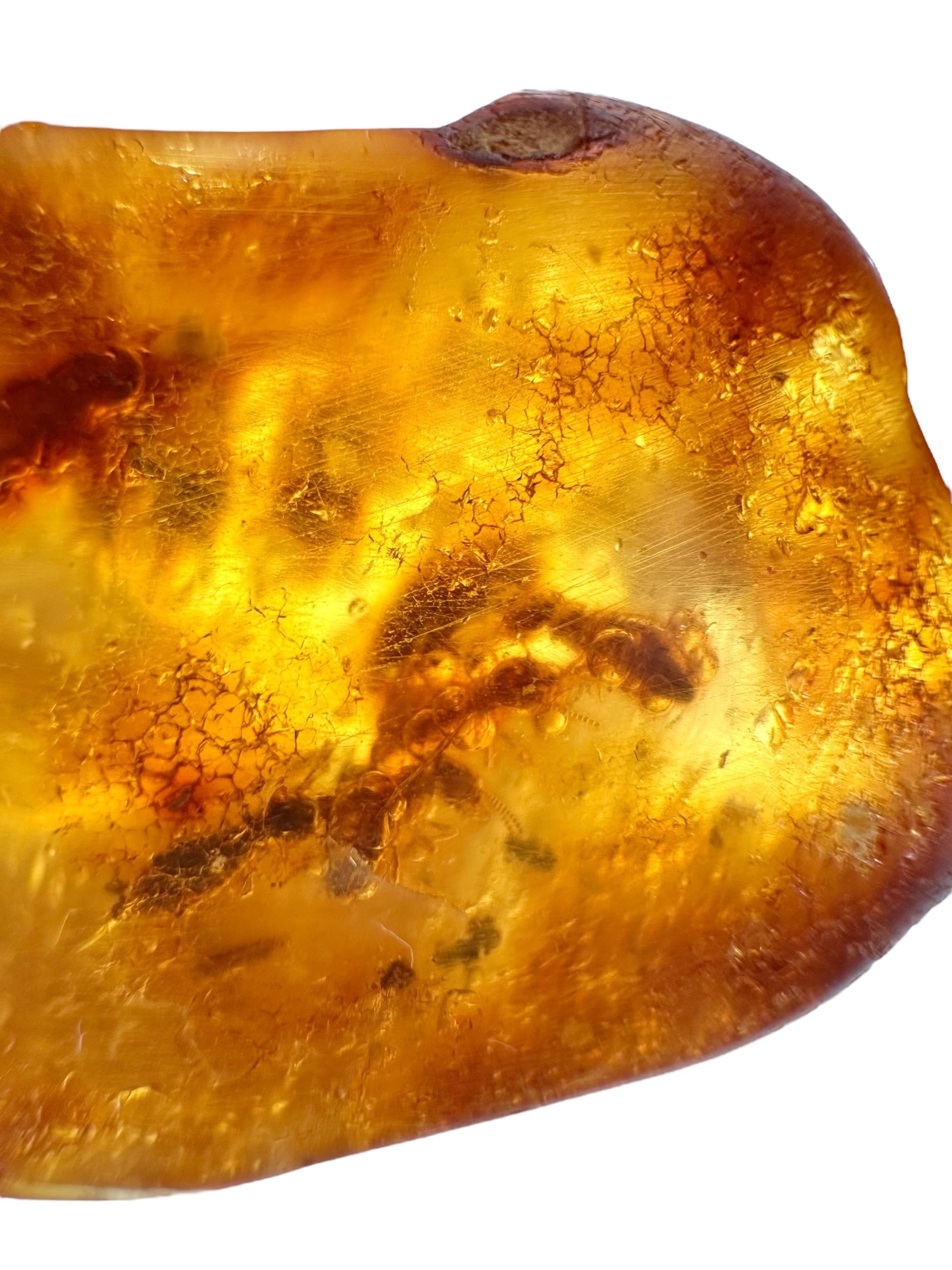 Insects in young amber (copal) 23,3g – Colombia - IK46