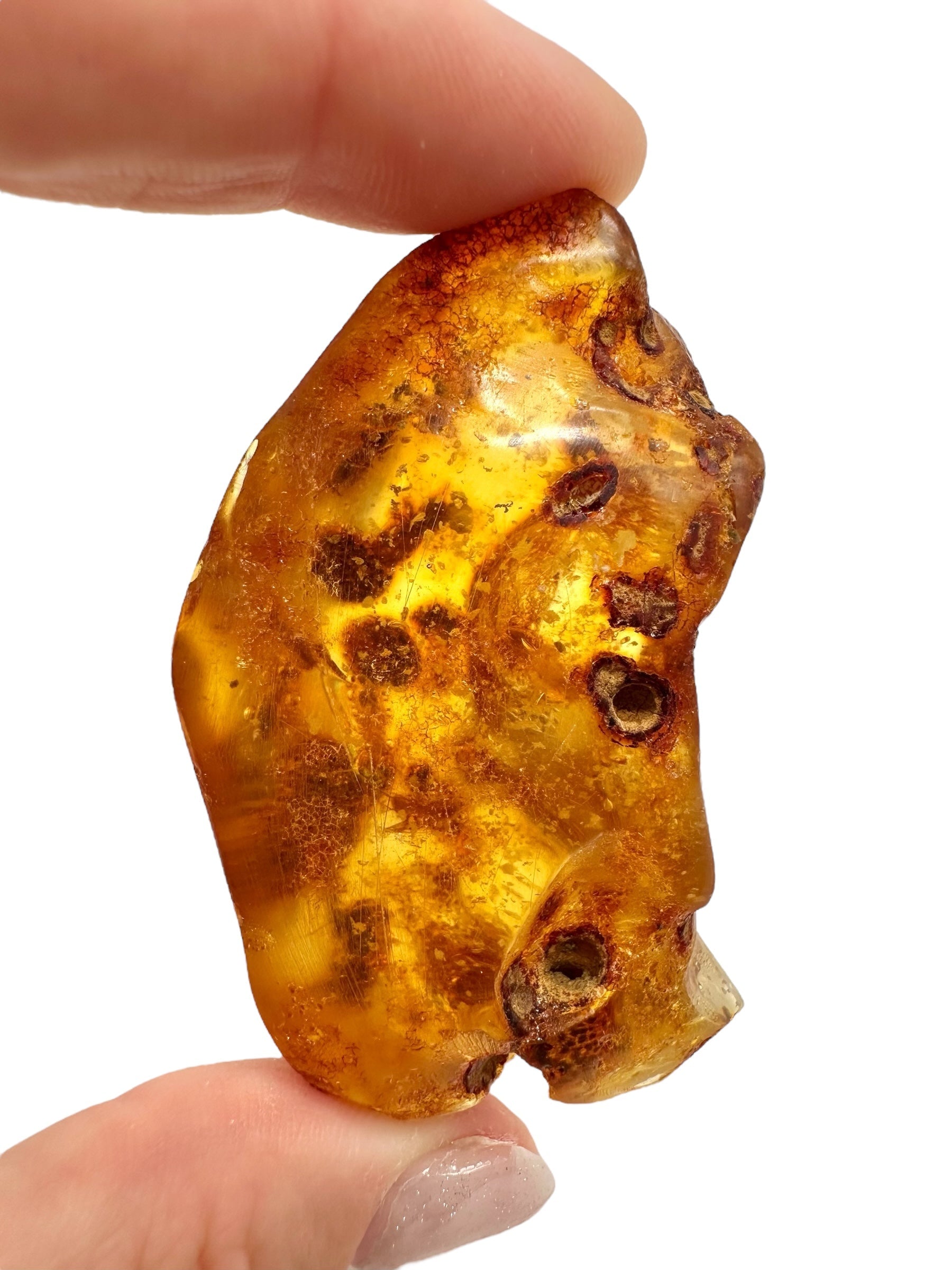 Insects in young amber (copal) 23,3g – Colombia - IK46