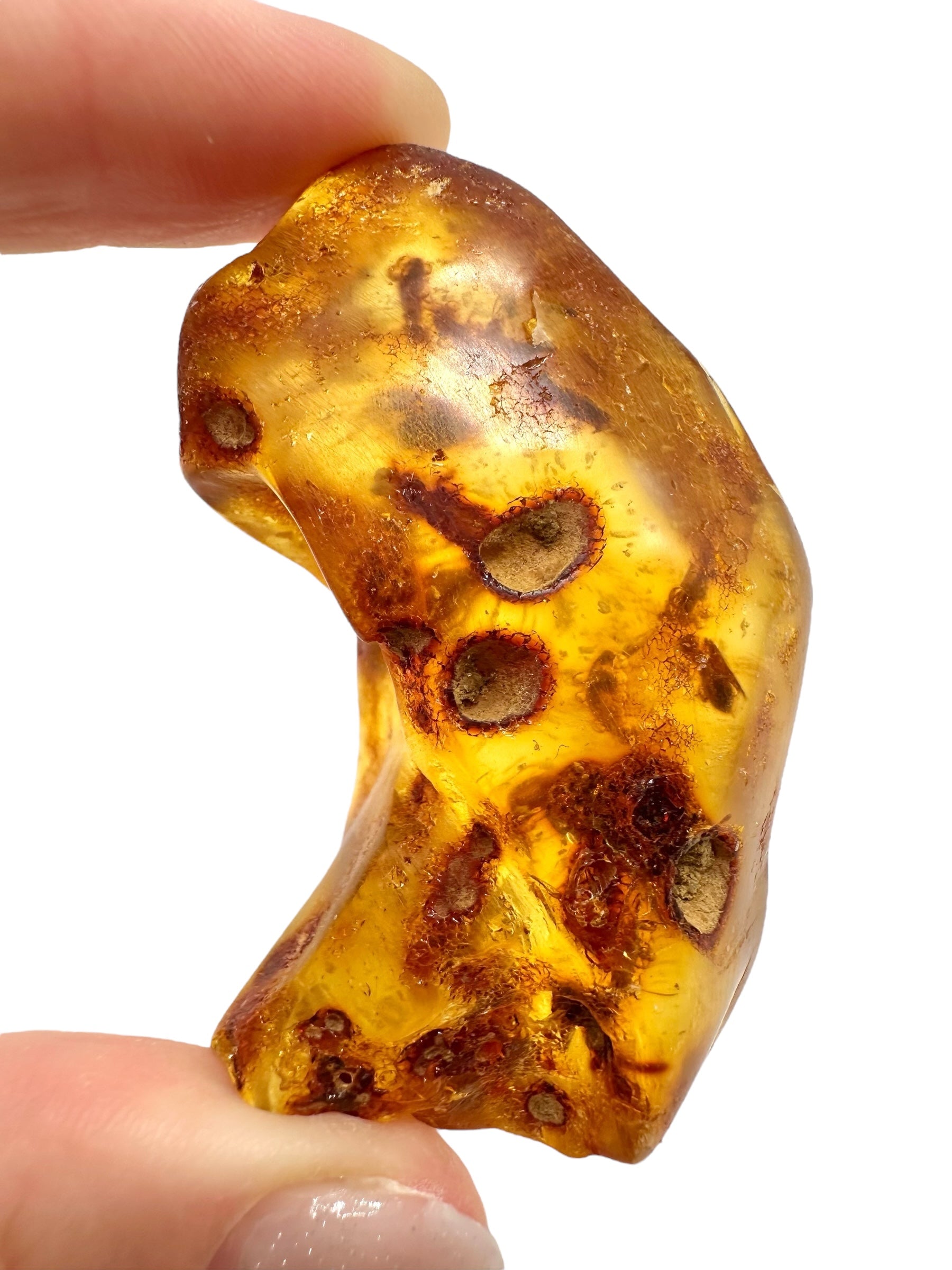 Insects in young amber (copal) 23,3g – Colombia