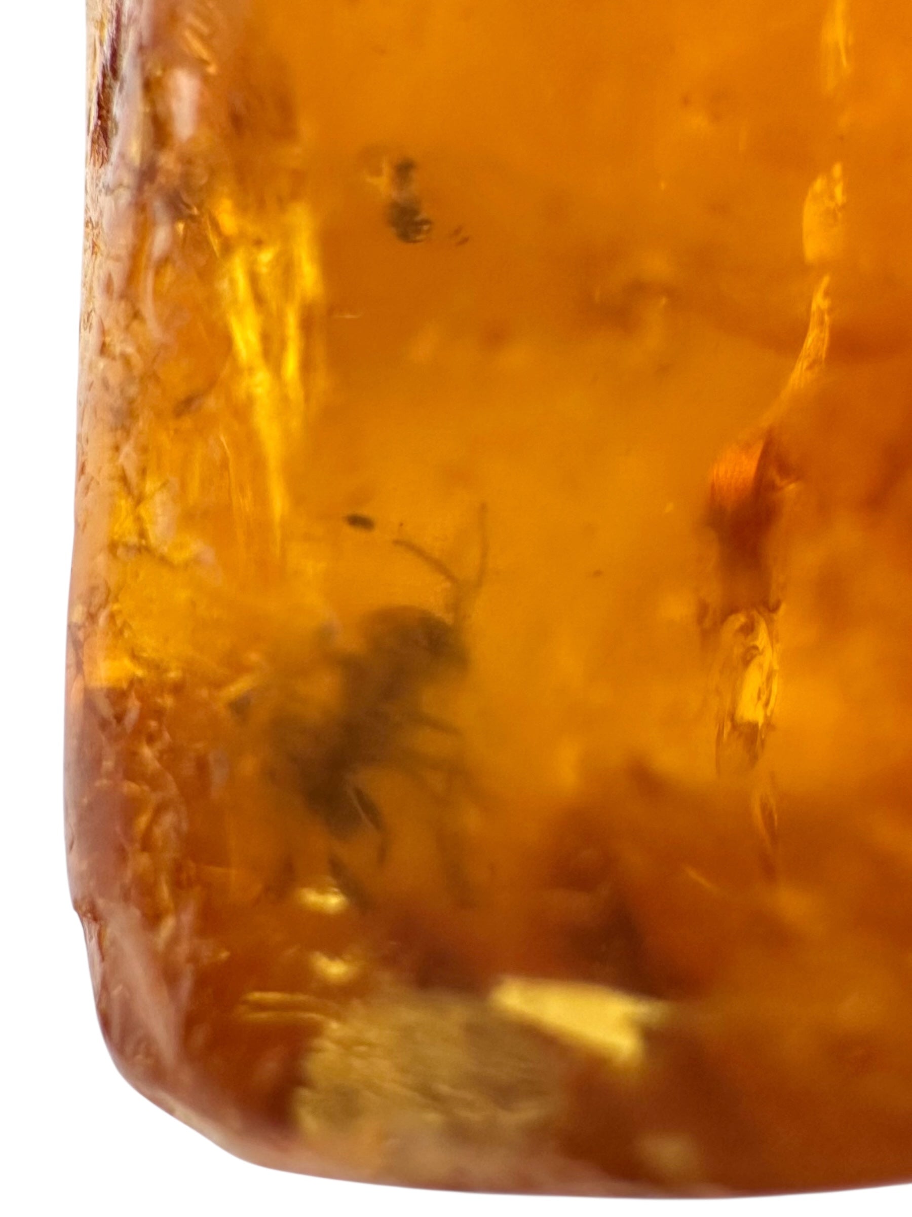 Insects in young amber (copal) 38,1g – Colombia - IK47