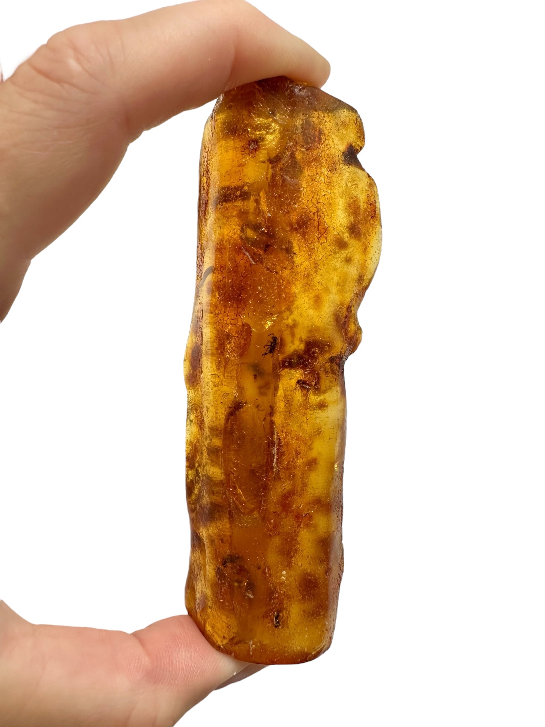 Insects in young amber (copal) 38,1g – Colombia
