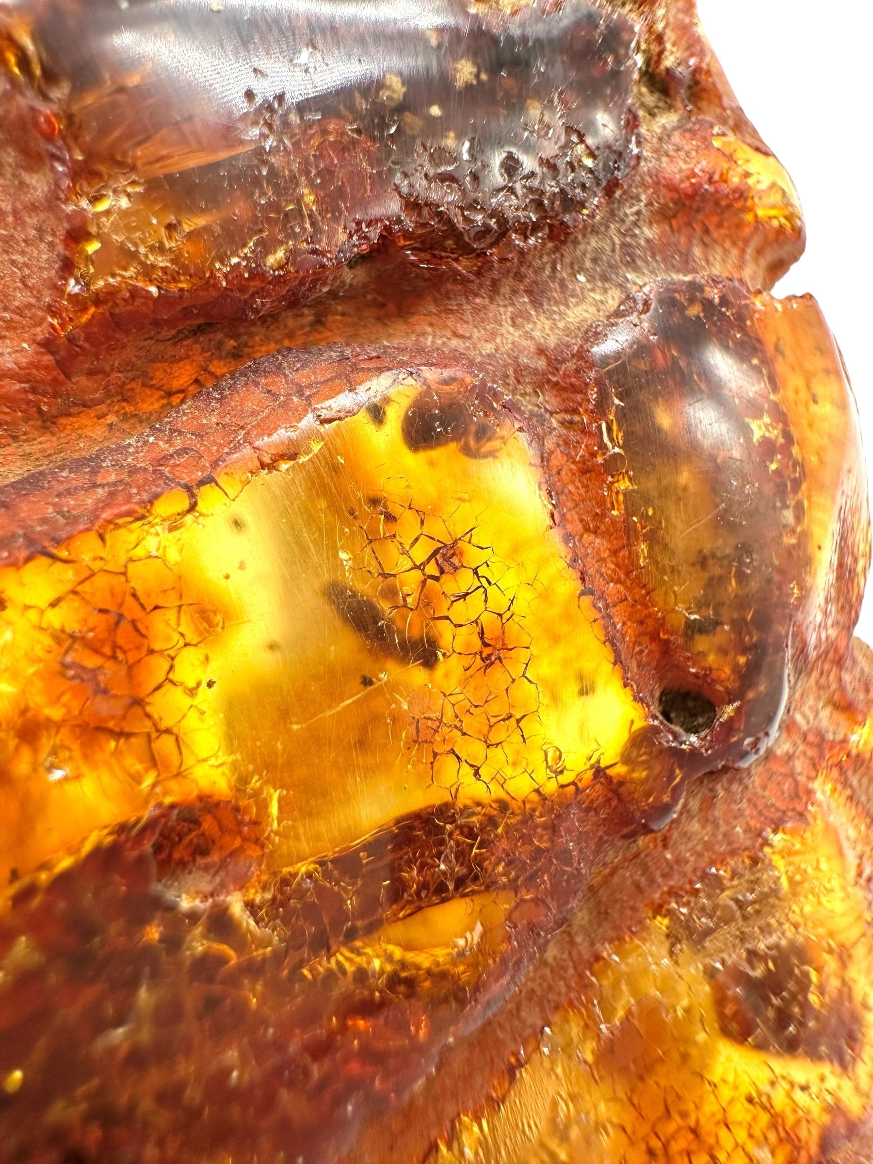 Insects in young amber (copal) 63,5g – Colombia - IK48