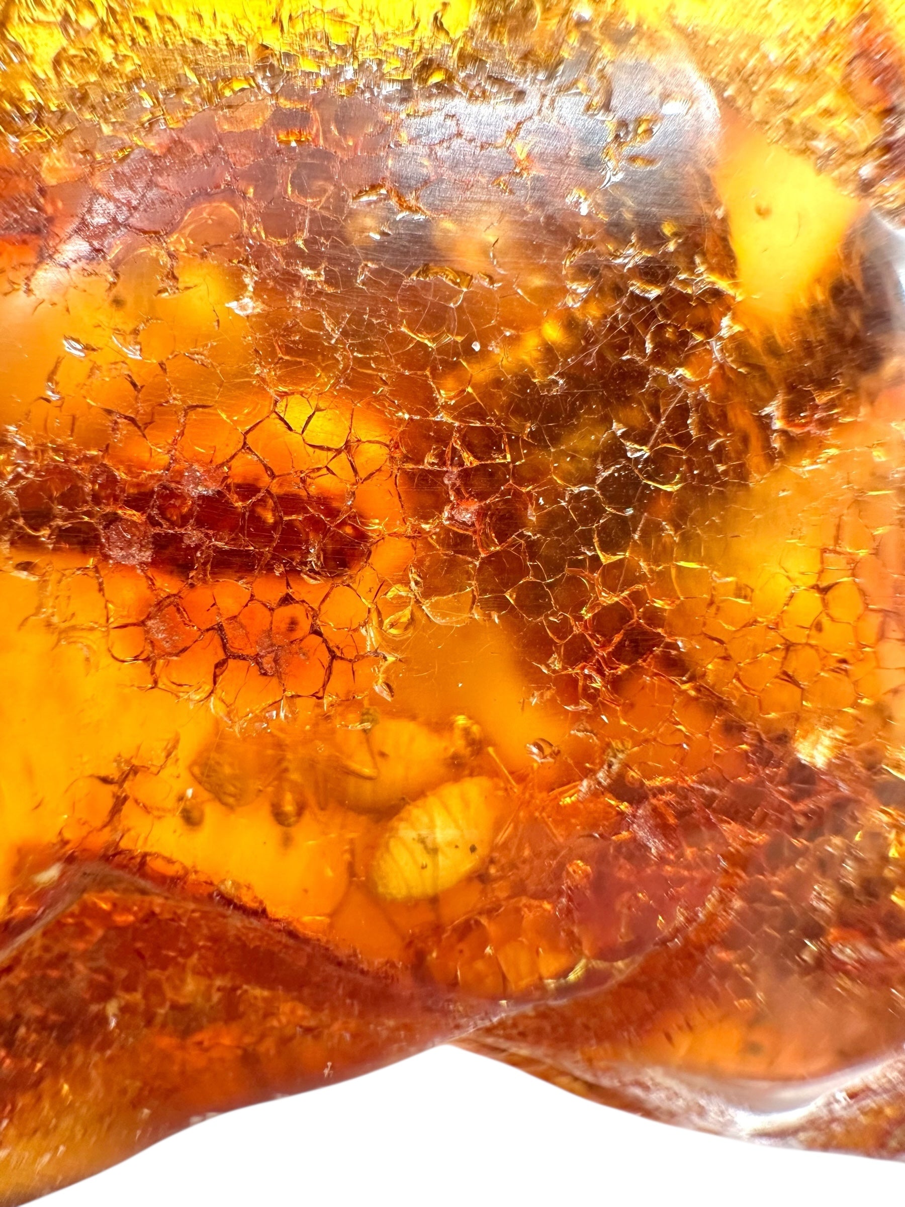 Insects in young amber (copal) 63,5g – Colombia - IK48