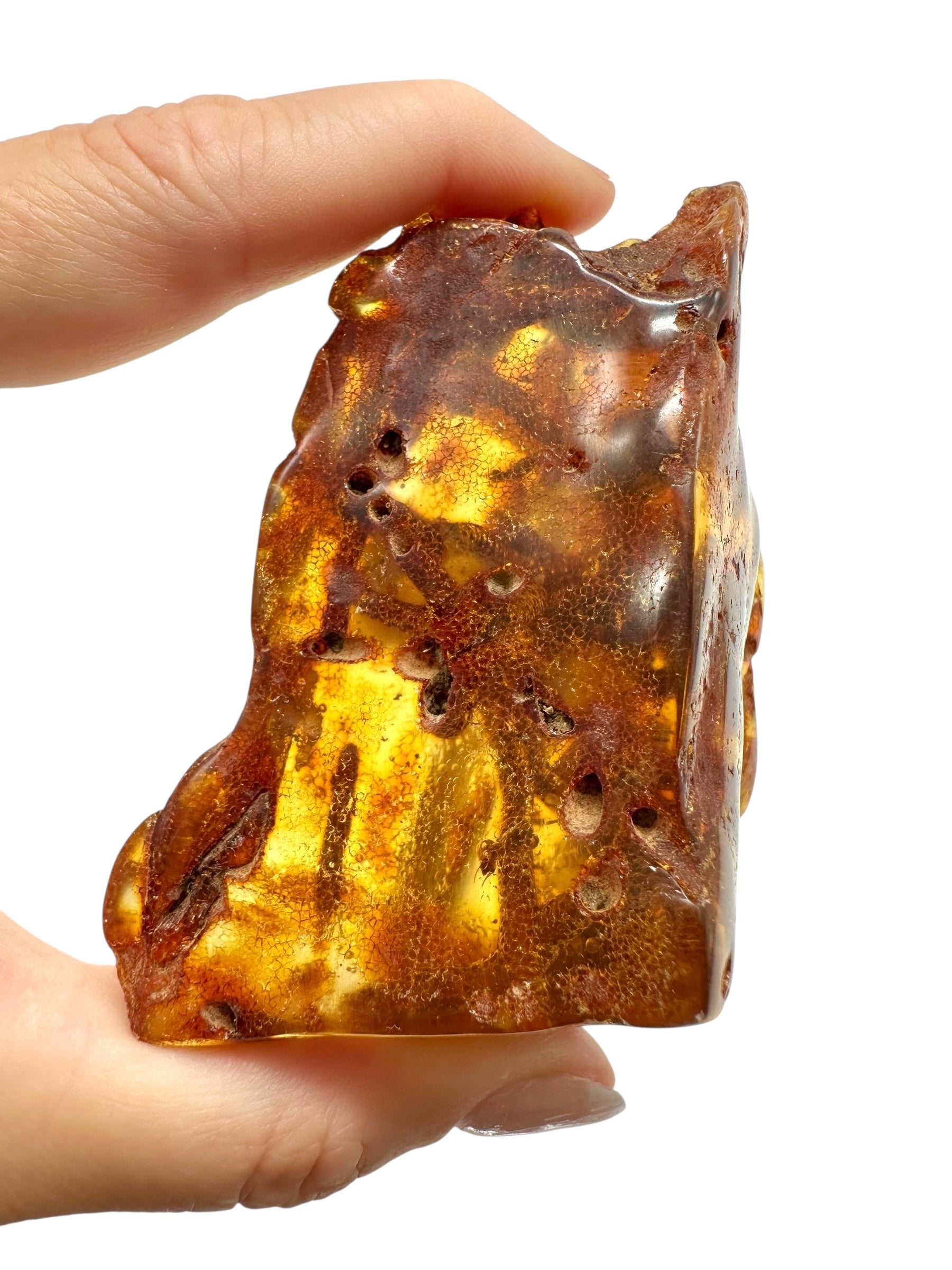 Insects in young amber (copal) 63,5g – Colombia - IK48