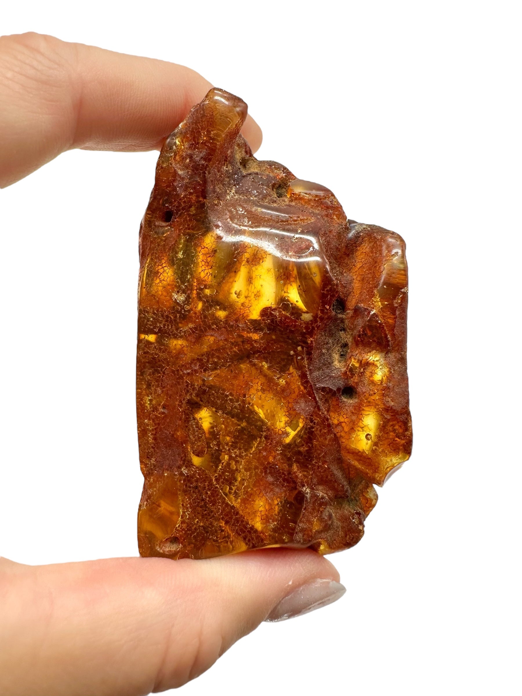 Insects in young amber (copal) 63,5g – Colombia - IK48