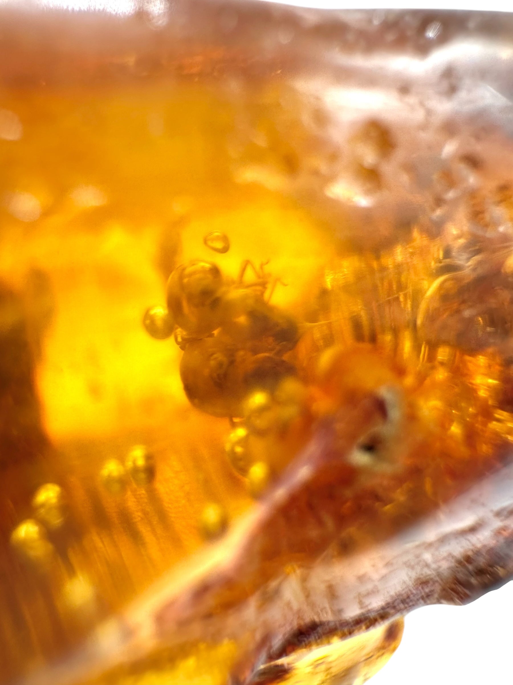 Insects in young amber (copal) 87,9g – Colombia - IK49