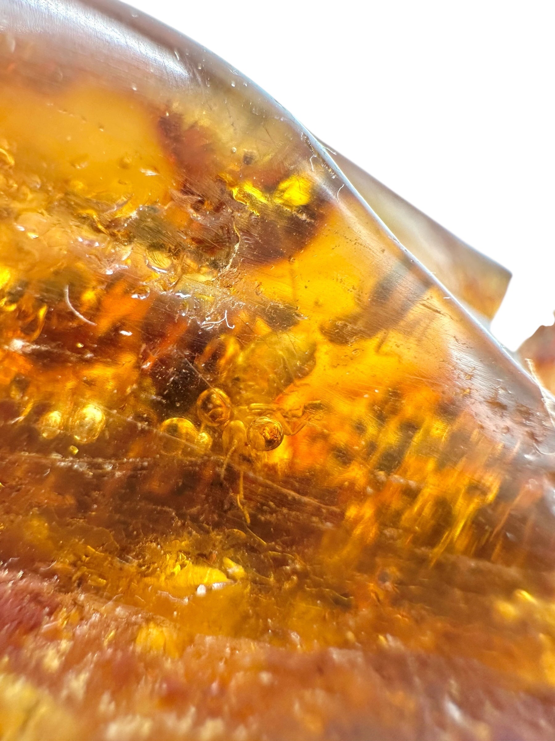 Insects in young amber (copal) 87,9g – Colombia - IK49