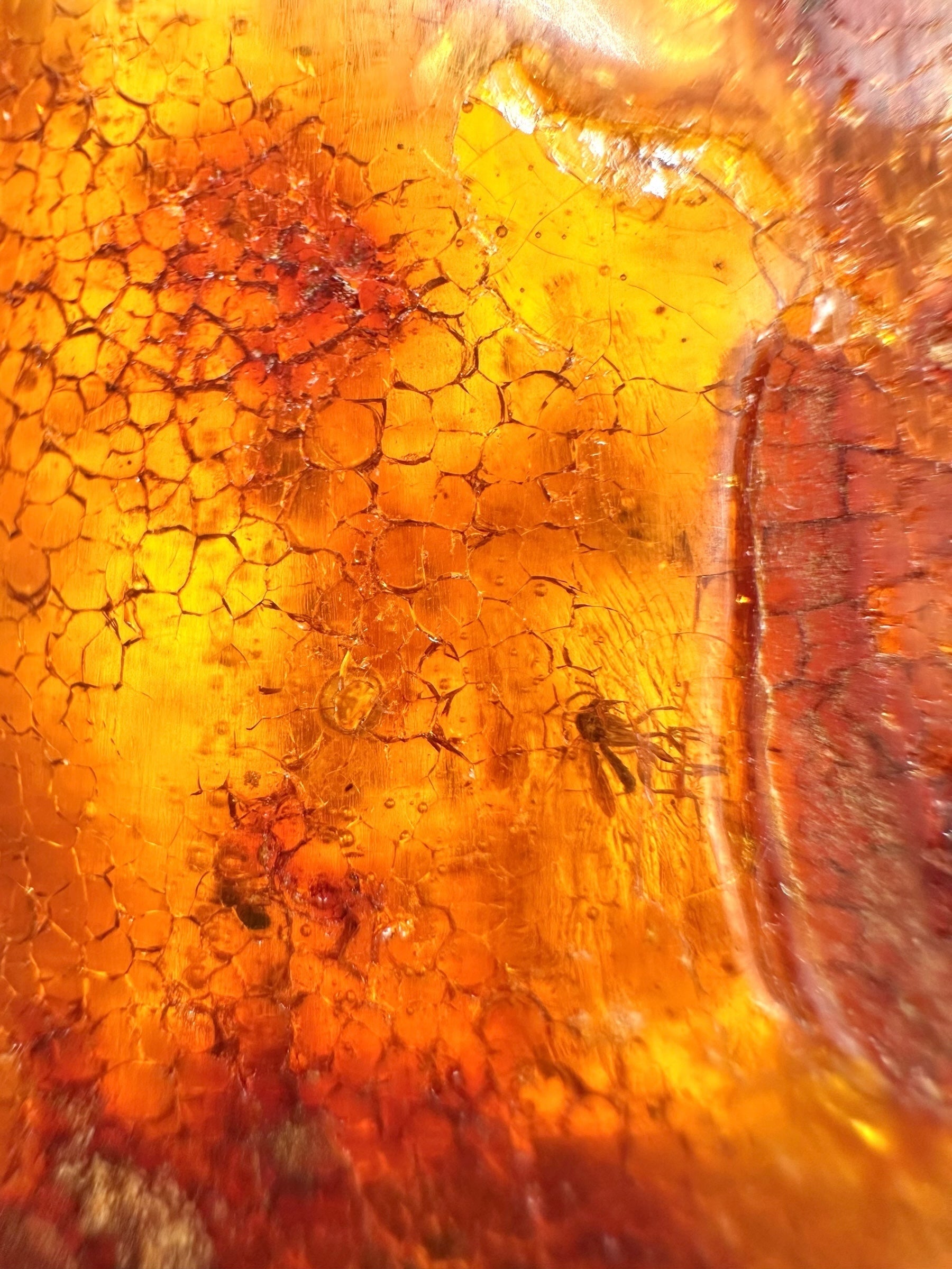 Insects in young amber (copal) 58,7g – Colombia - IK50
