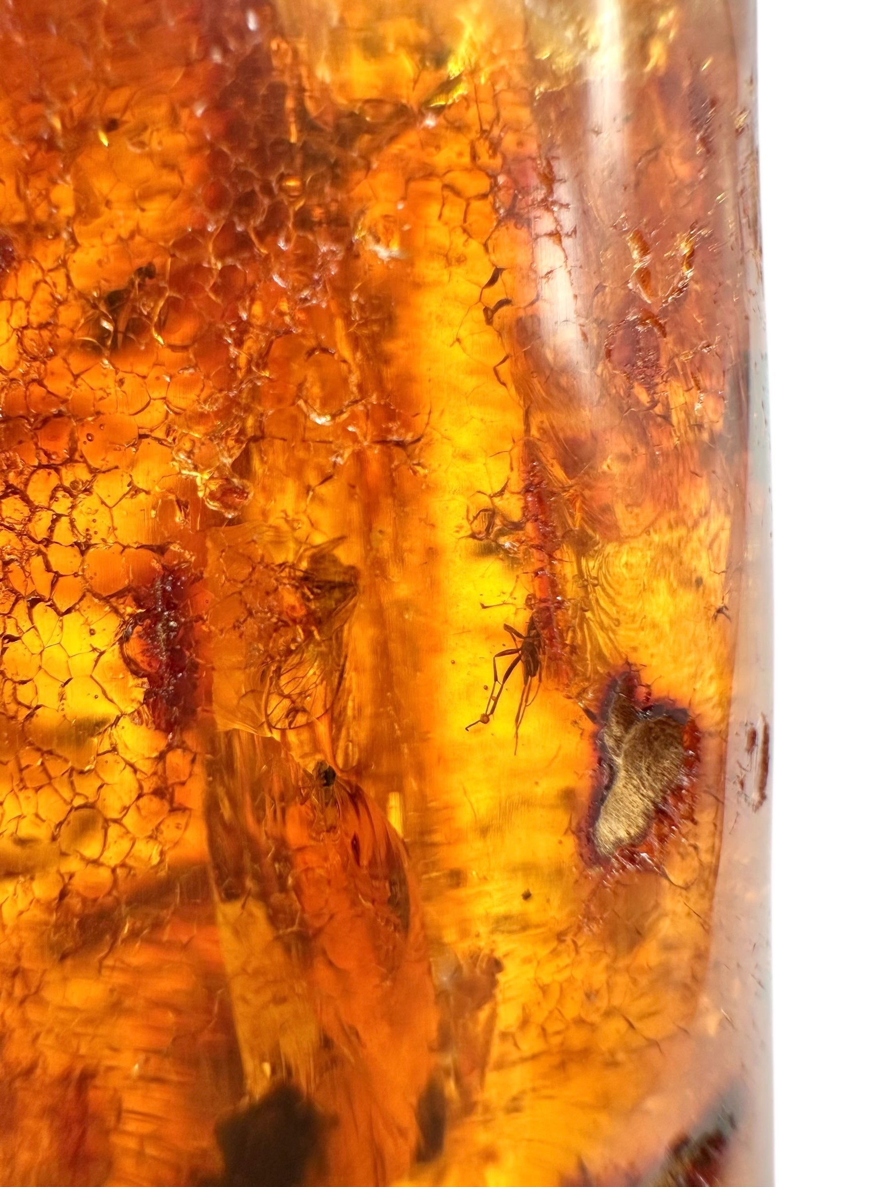 Insects in young amber (copal) 58,7g – Colombia - IK50