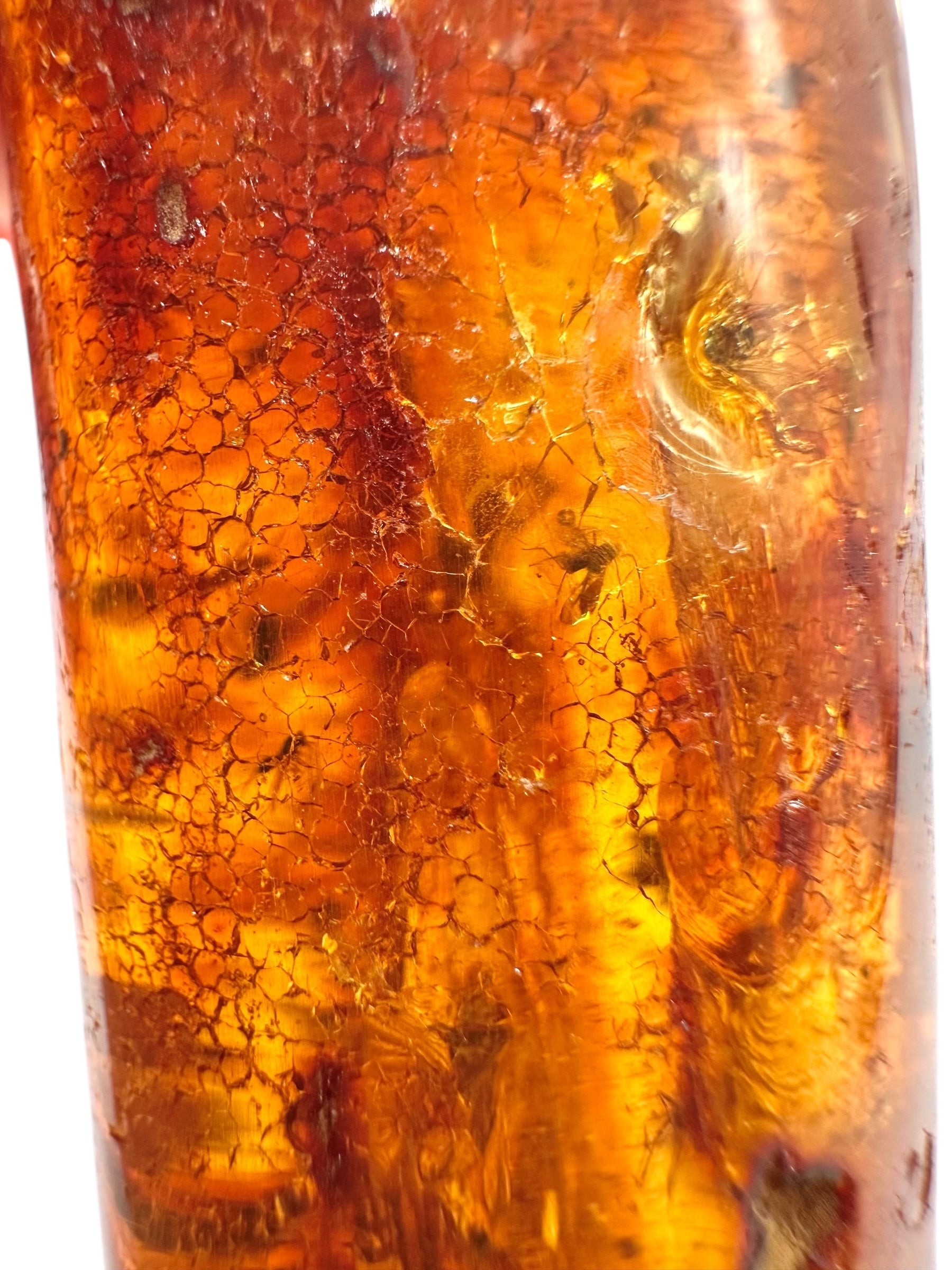 Insects in young amber (copal) 58,7g – Colombia - IK50